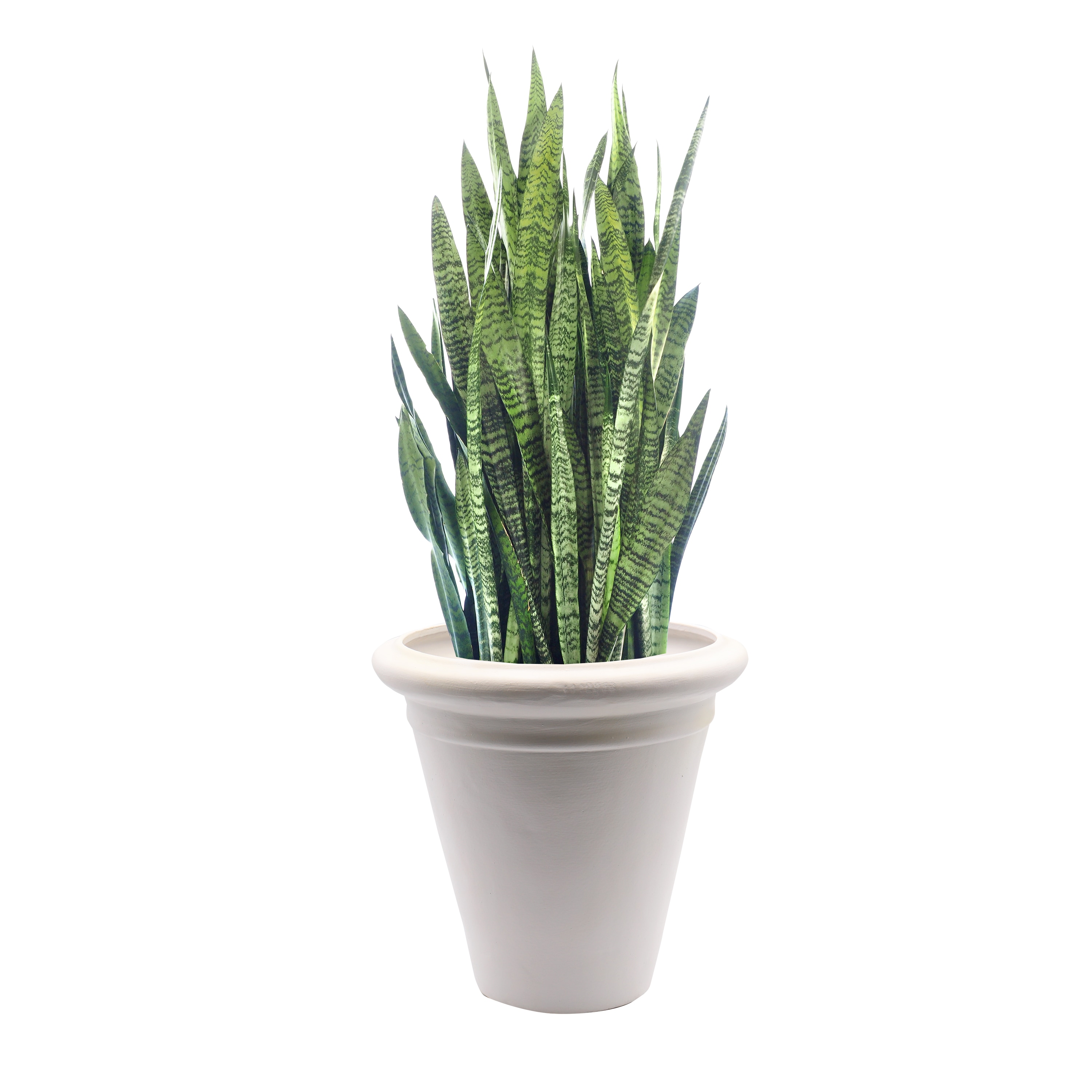 Evergreen 2CG845 Planter-Window-Box - View #3