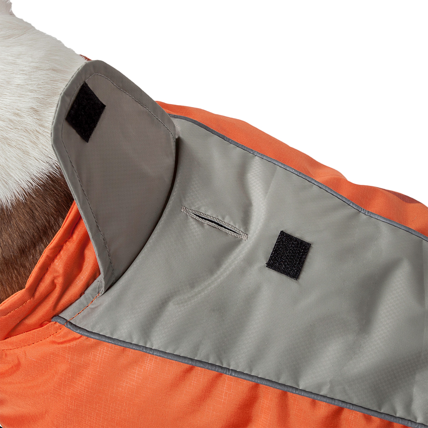 Dog Helios JKHL2ORMD Dog-Apparel - View #4