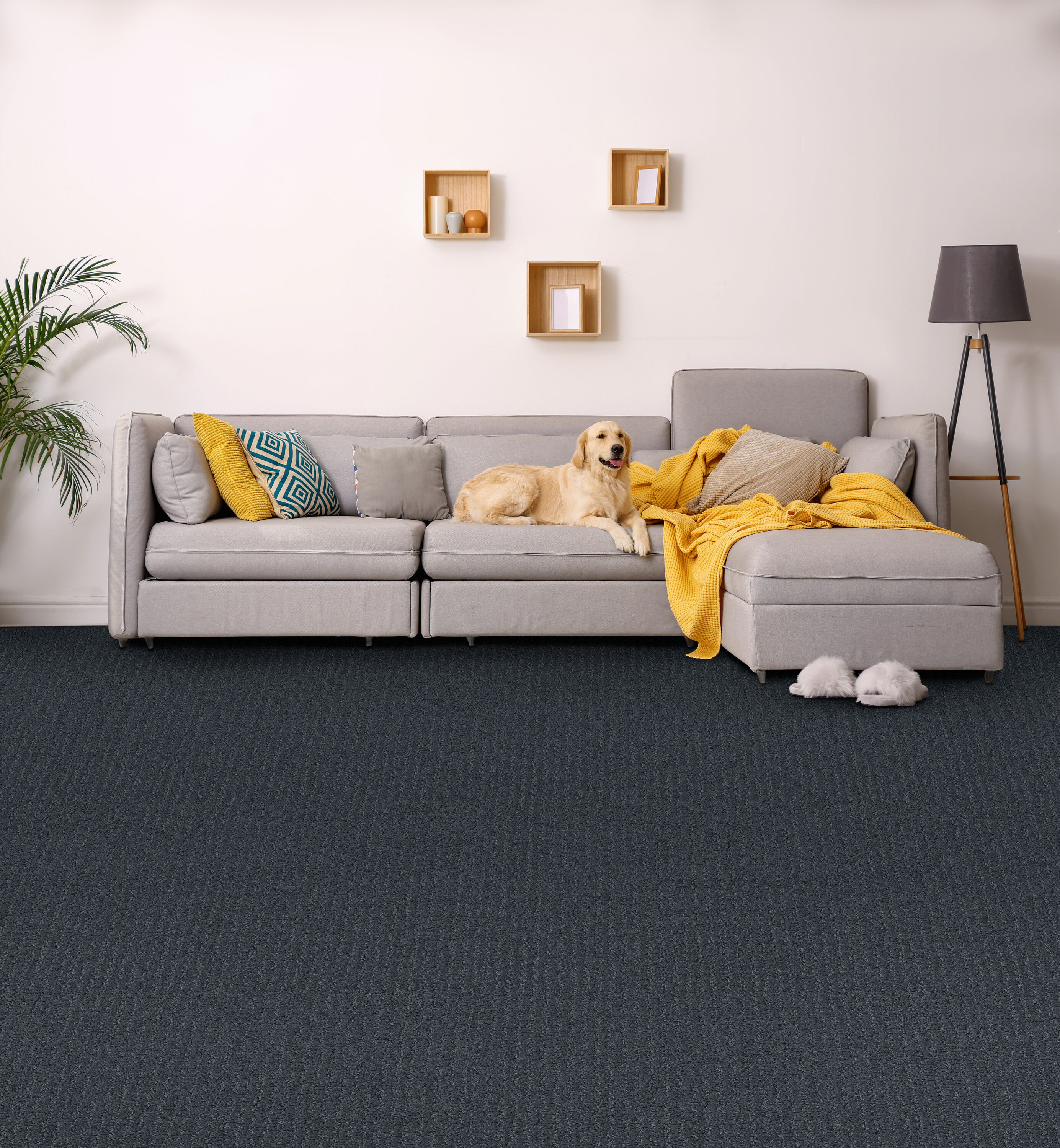 STAINMASTER PetProtect 7L85400450 Carpet-Panel - View #5