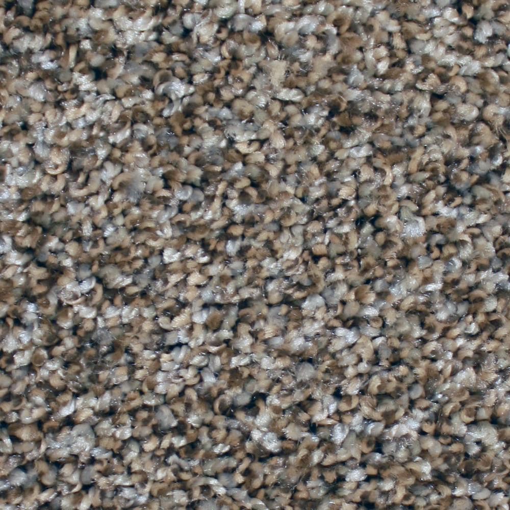 STAINMASTER S8075-11-1200-AB (Sample) Essentials Ventura Seacliff Multi-Colored 75-oz sq yard Polyester Textured Indoor Carpet