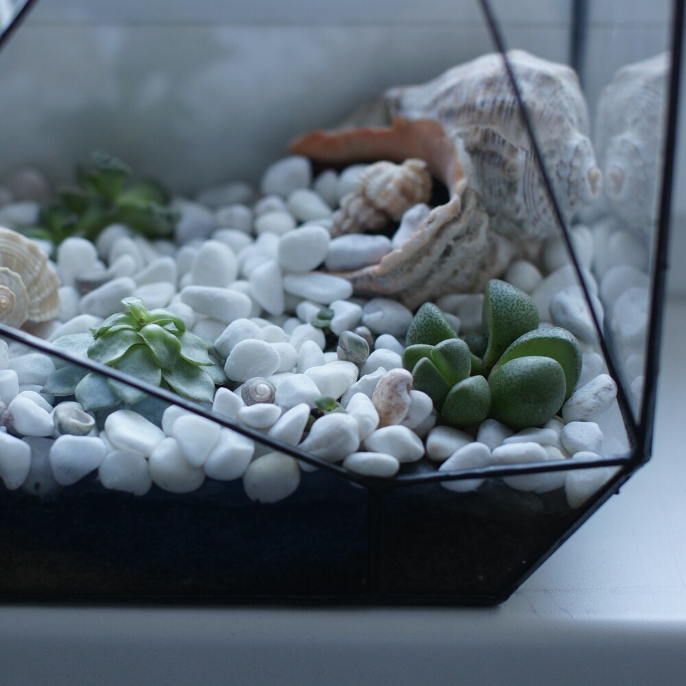 Mosser Lee 1122 Landscaping-Rock - View #2