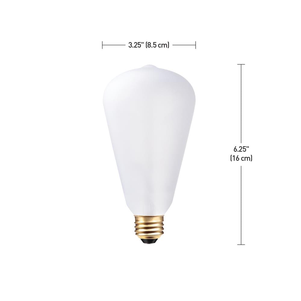 Globe Electric 60-Watt Dimmable S Light Fixture Incandescent Light Bulb ...