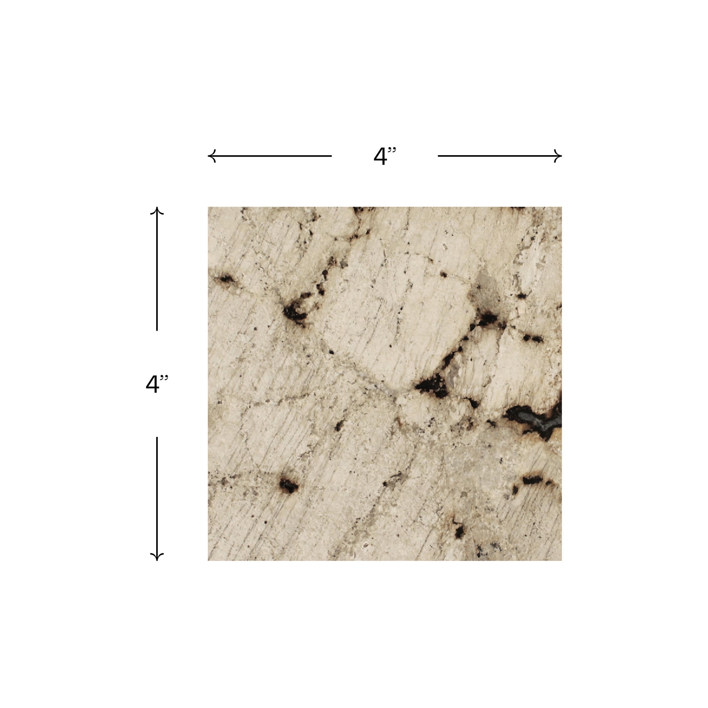 SenSa 4 In. X 4 In. Vancouver Quartzite Gray Kitchen Countertop SAMPLE  (4-in x 4-in) in the Kitchen Countertop Samples department at