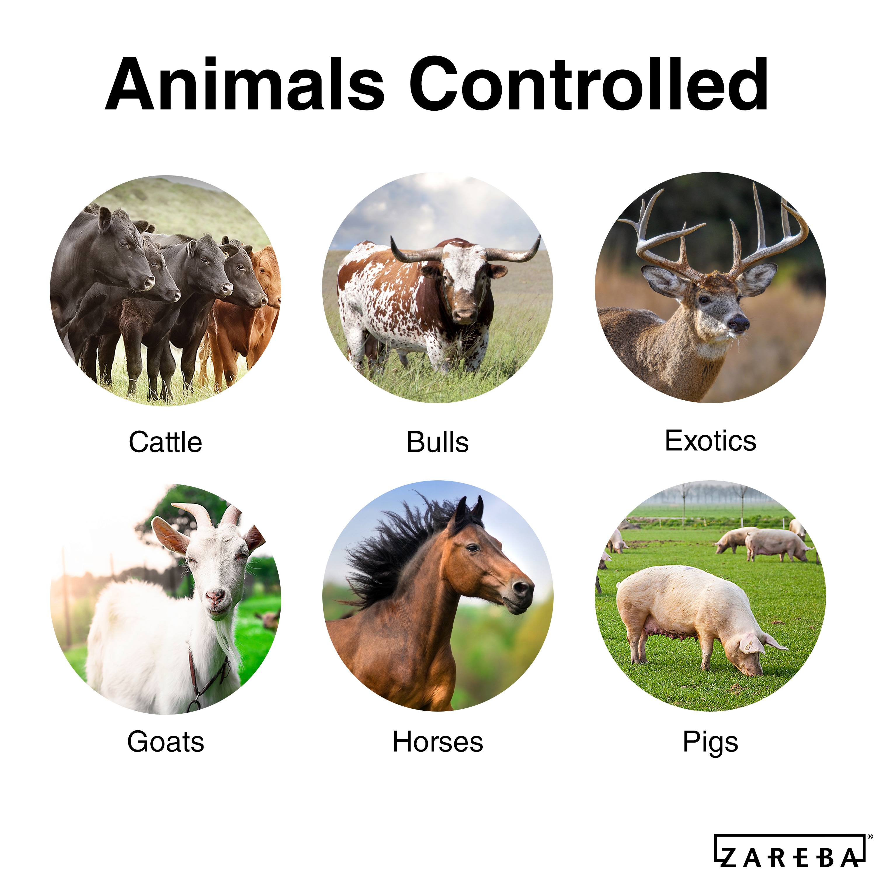 Zareba Systems EAC100M-Z Electric-Fence-Chargers - View #4