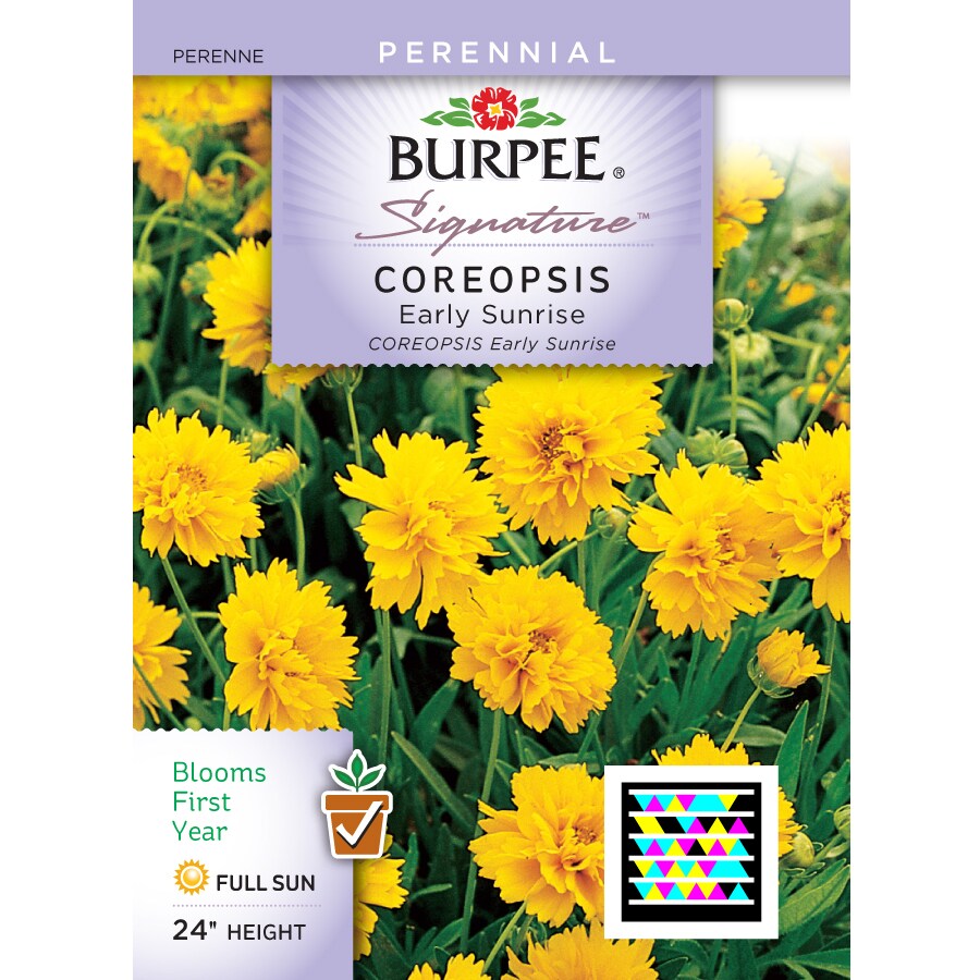 Burpee Coreopsis Flower Seed Packet At Lowes.com