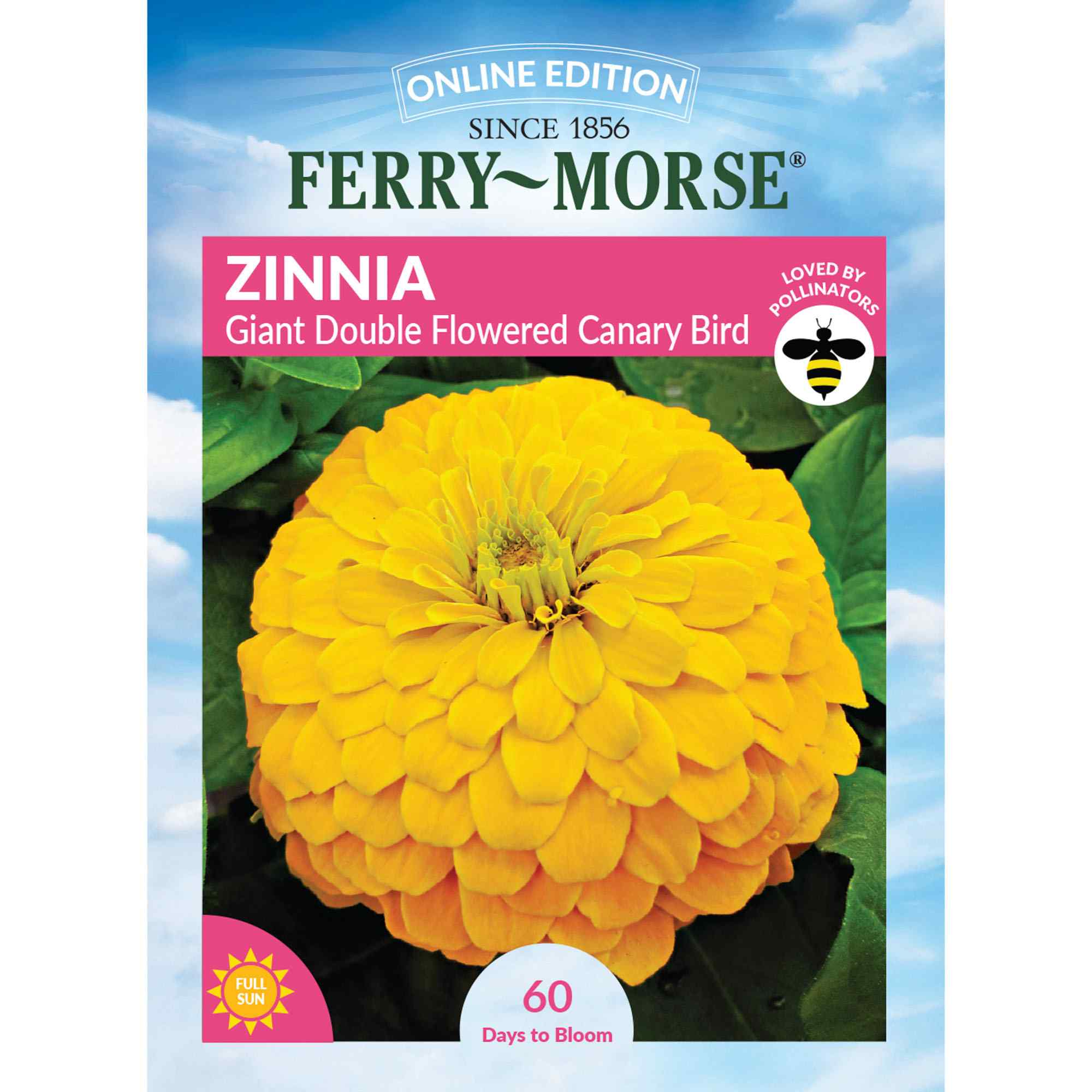 Ferry-Morse LC25.4141 Zinnia Seeds 900 Milligram(s)