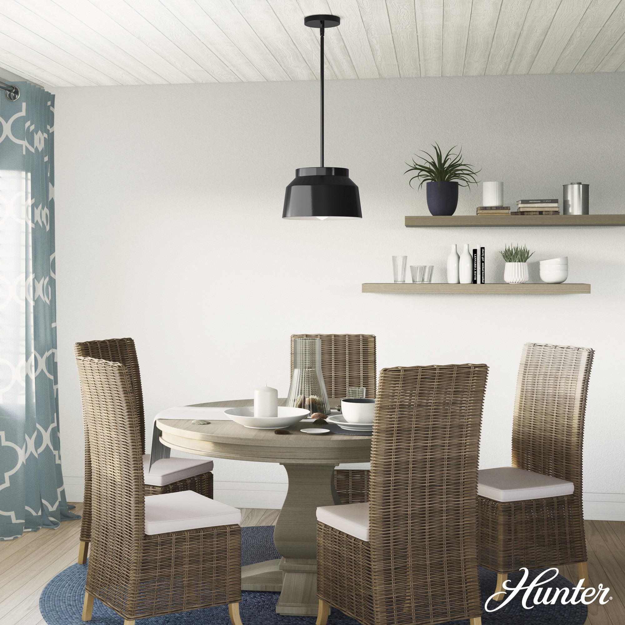 Hunter 19025 Pendant-Lights - View #3