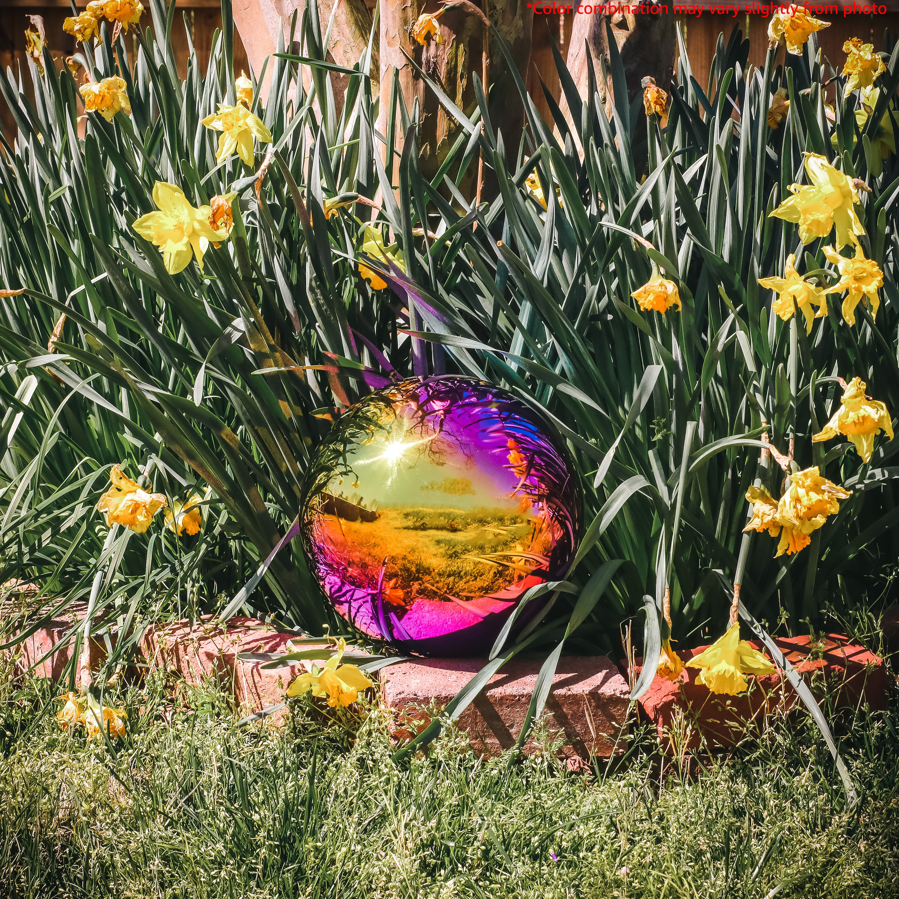 Rainbow Stainless Steel 8" Gazing Mirror Ball