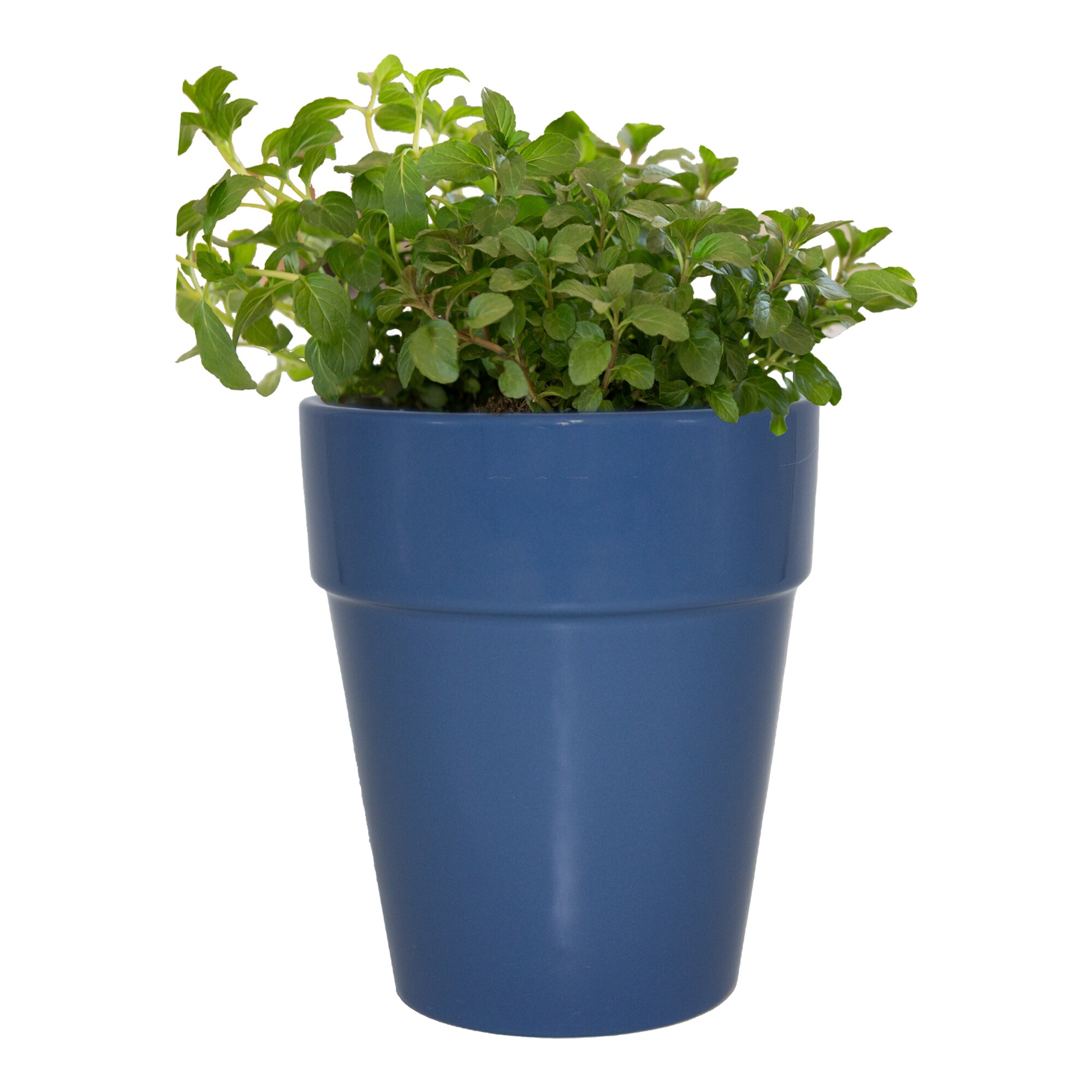 Garden Treasures CR10168-05M Planter-Window-Box - View #3