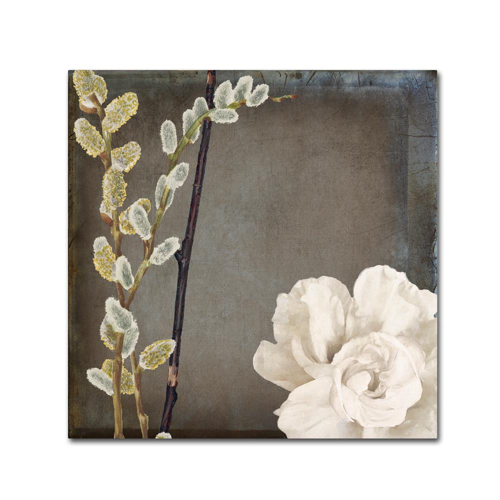 Trademark Fine Art ALI4817-C3535GG Framed 35-Inches H x 35-Inches W Floral Canvas Print