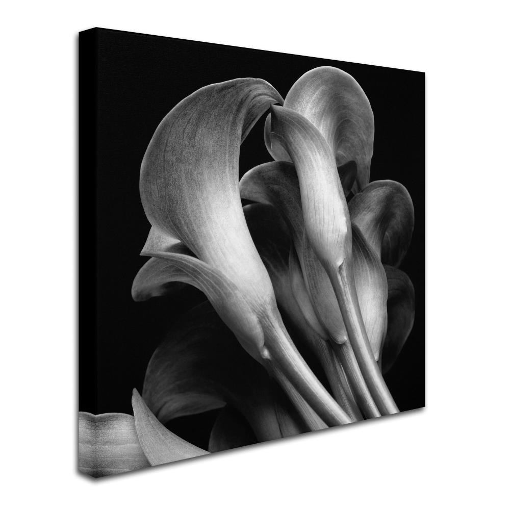 Trademark Fine Art Floral Framed 35-in H x 35-in W Floral Canvas Print ...