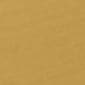 Brushed Golden Brass