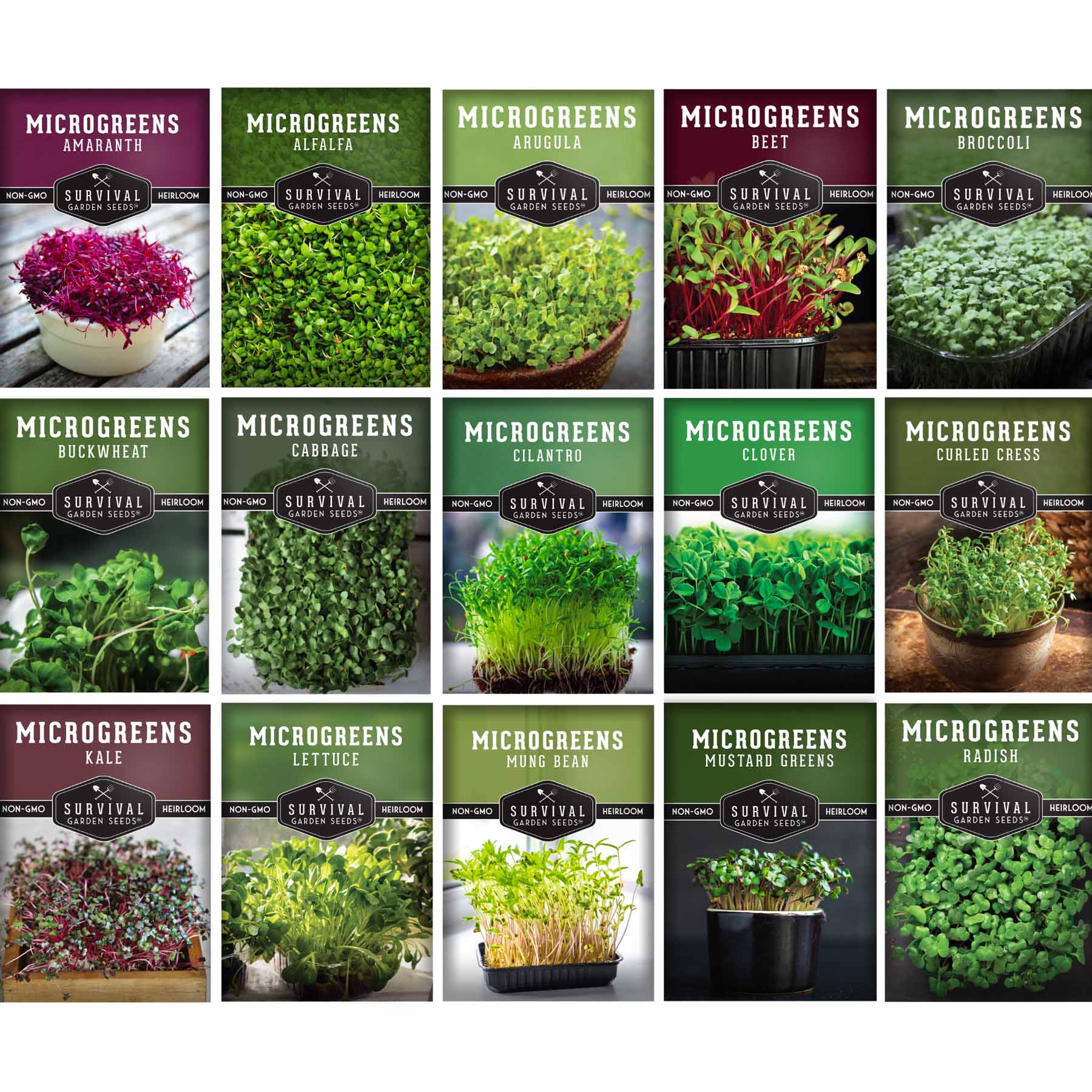 Survival Garden Seeds Microgreens 15 Variety Seed Collection for Indoor  Growing and Sprouting in the Vegetable & Herb Seeds department at Lowes.com