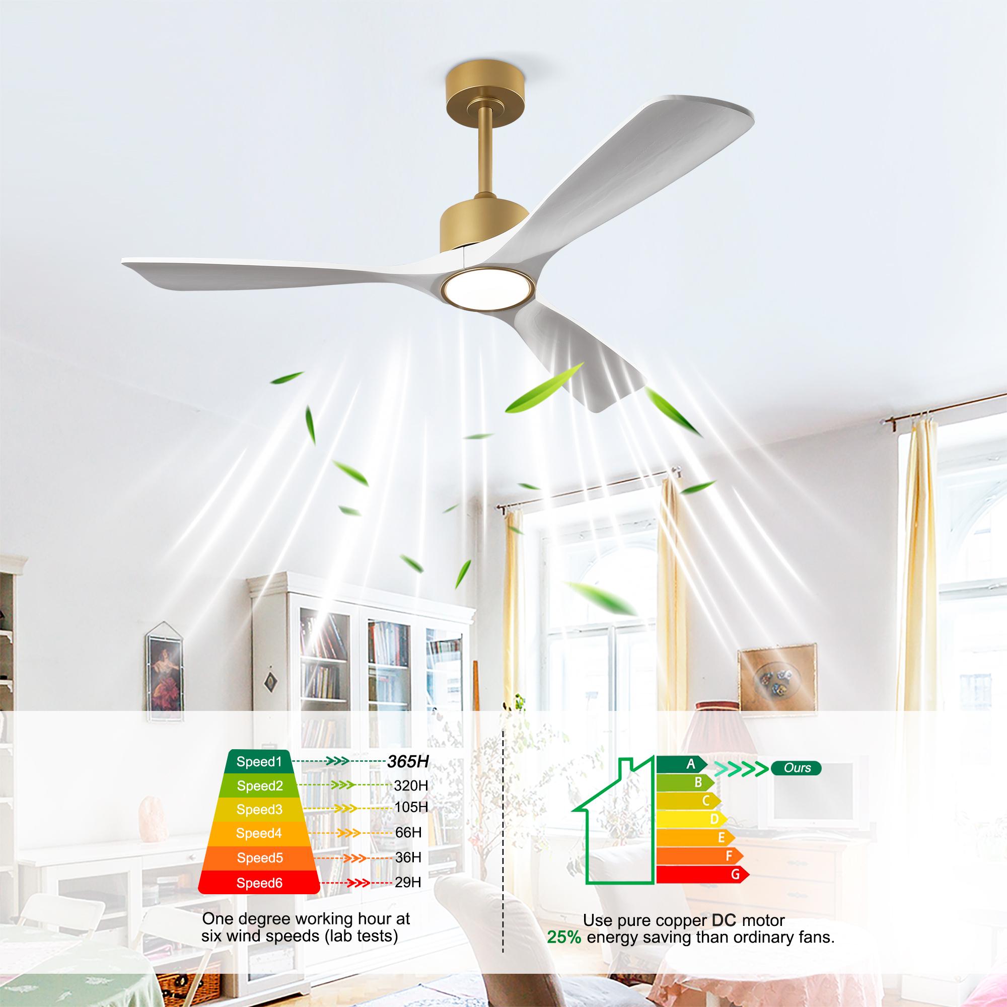 Bayfeve BF-384786-MP Ceiling-Fans - View #7