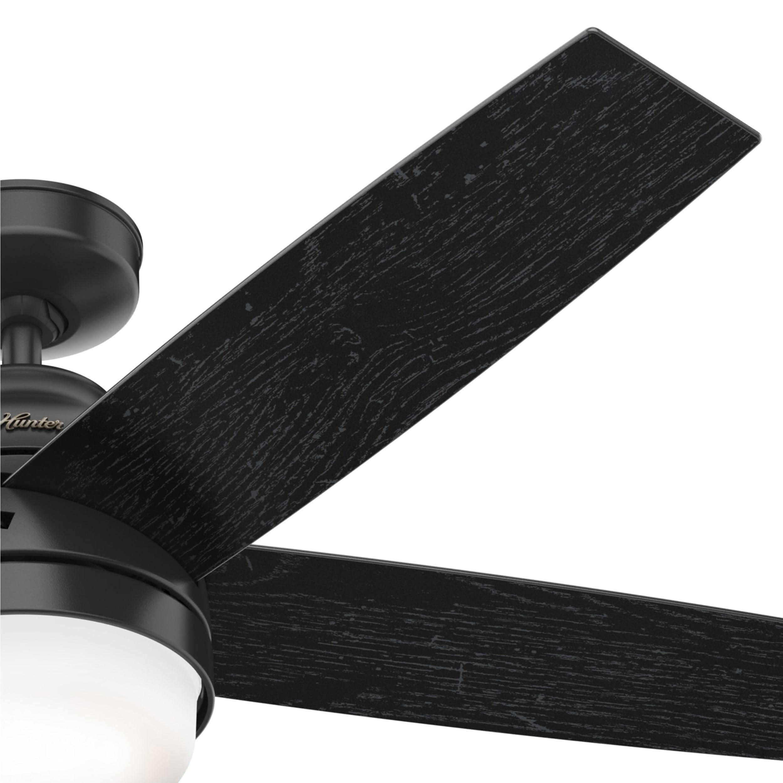 Hunter 51350 Ceiling-Fans - View #8