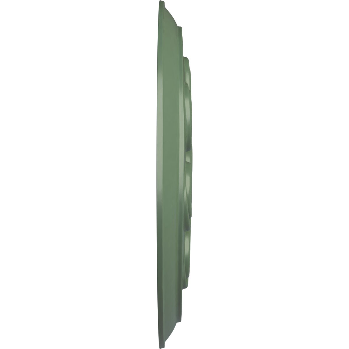 Ekena Millwork CM25SPAGF Ceiling-Medallions - View #3