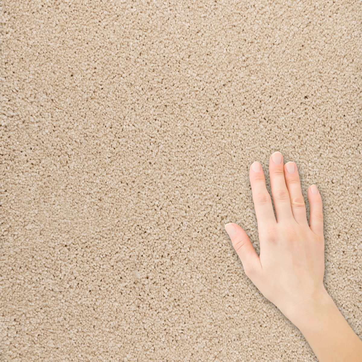 STAINMASTER S9860-10004-1200-MO Carpet-Panel - View #3