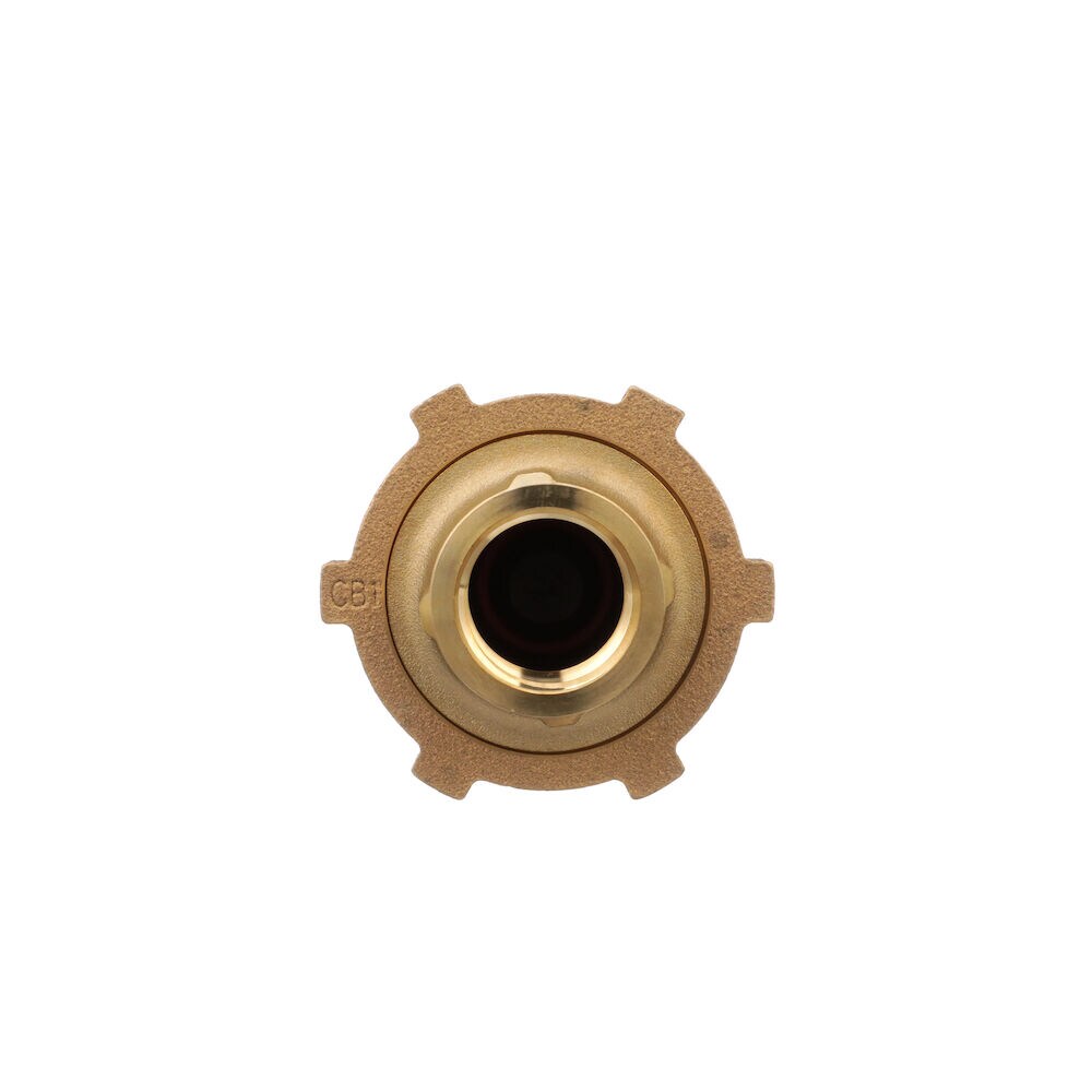 Zurn Wilkins 1UFX1F-700XLFP Check-Valves - View #3