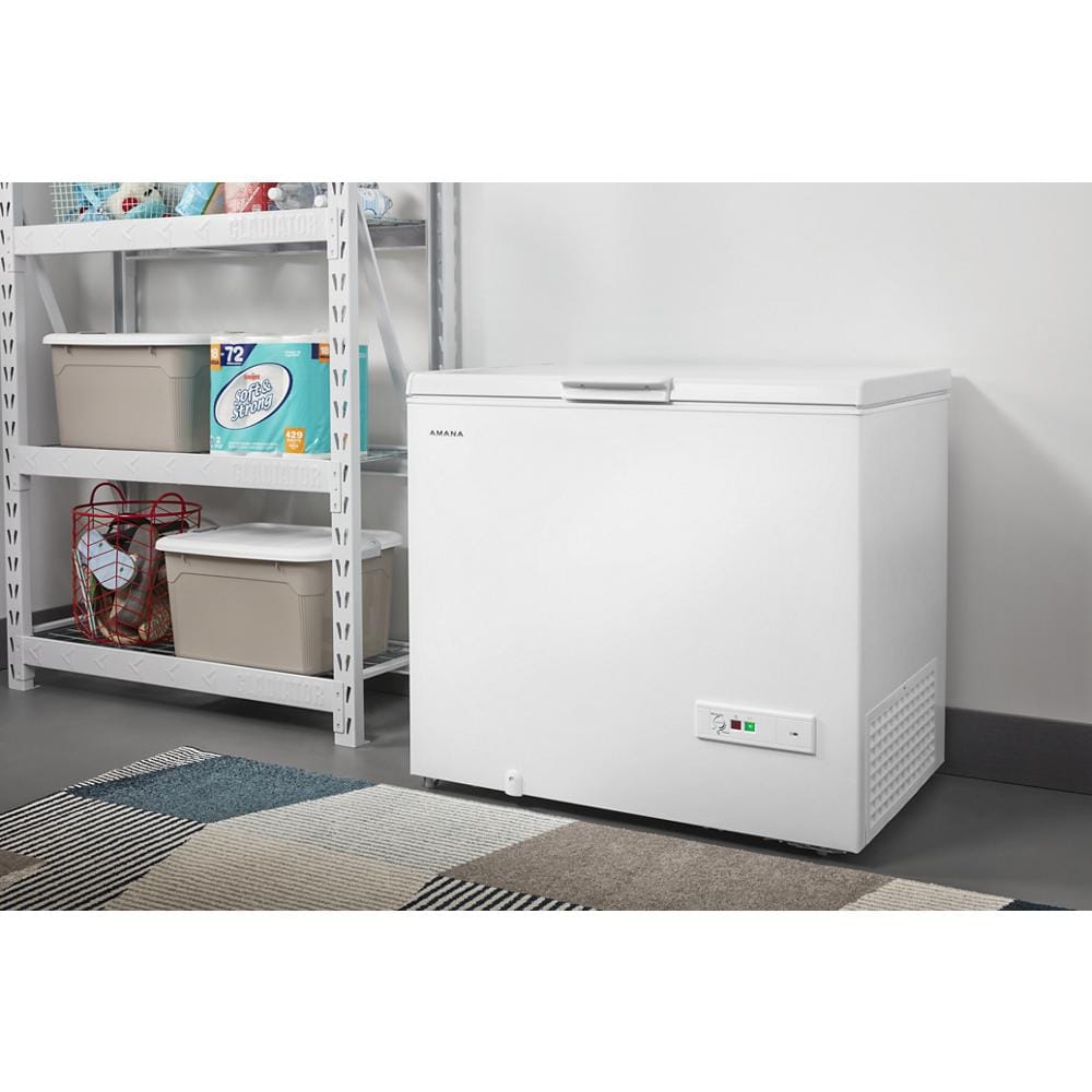 Amana 9 Cu Ft Garage Ready Manual Defrost Chest Freezer With