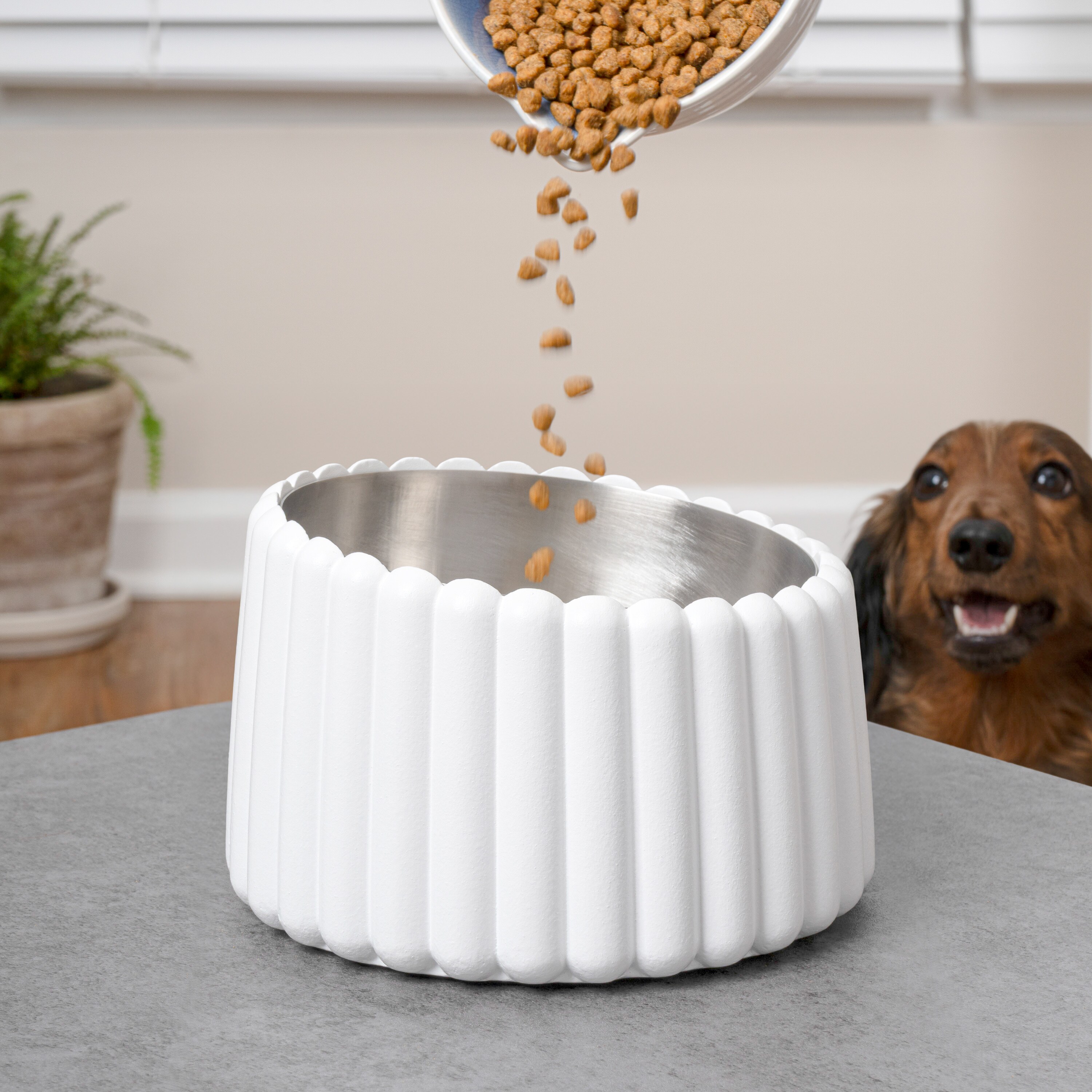 The Licker Store DBL3001B Pet-Bowls - View #2
