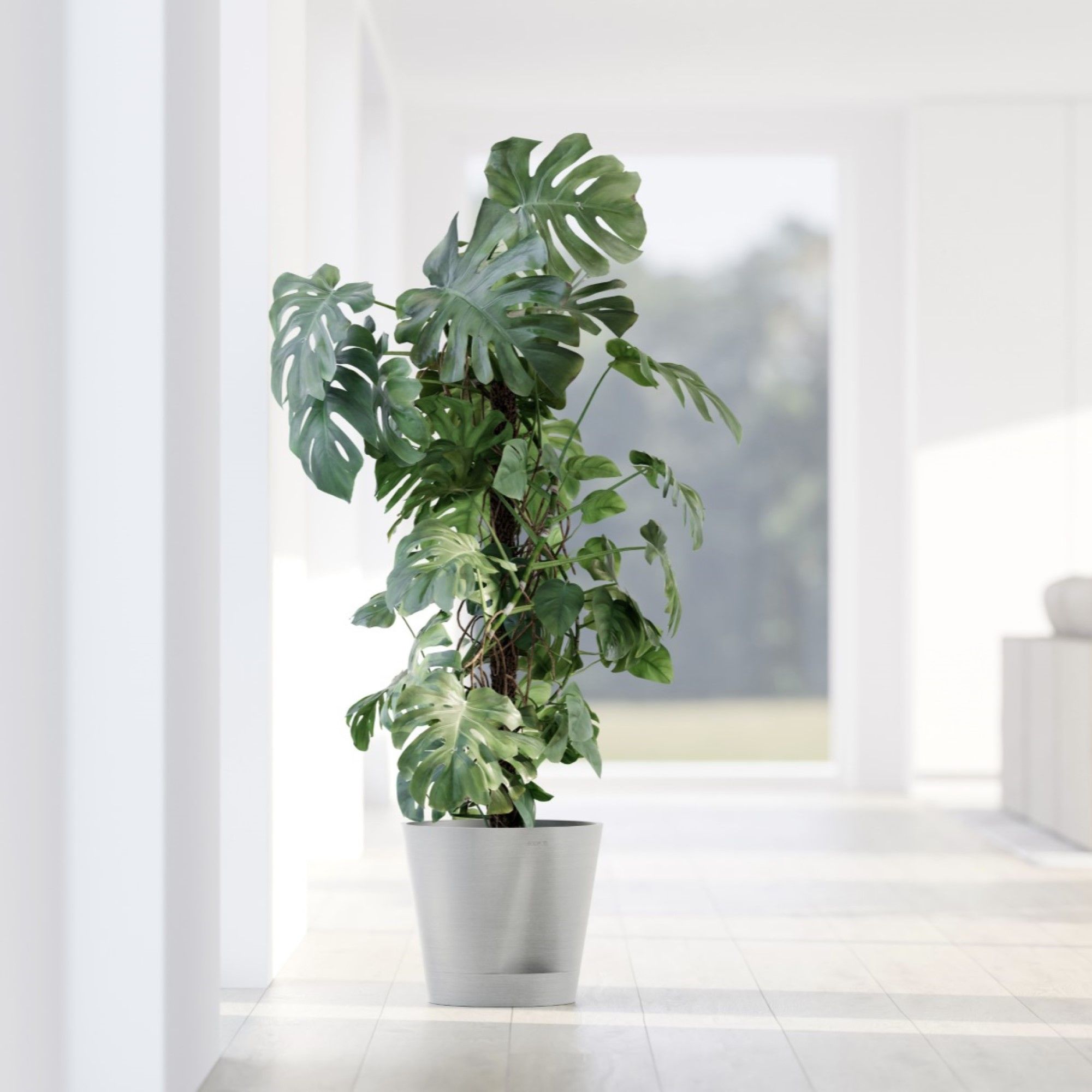 ECOPOTS 5413724329442 Planter-Window-Box - View #4