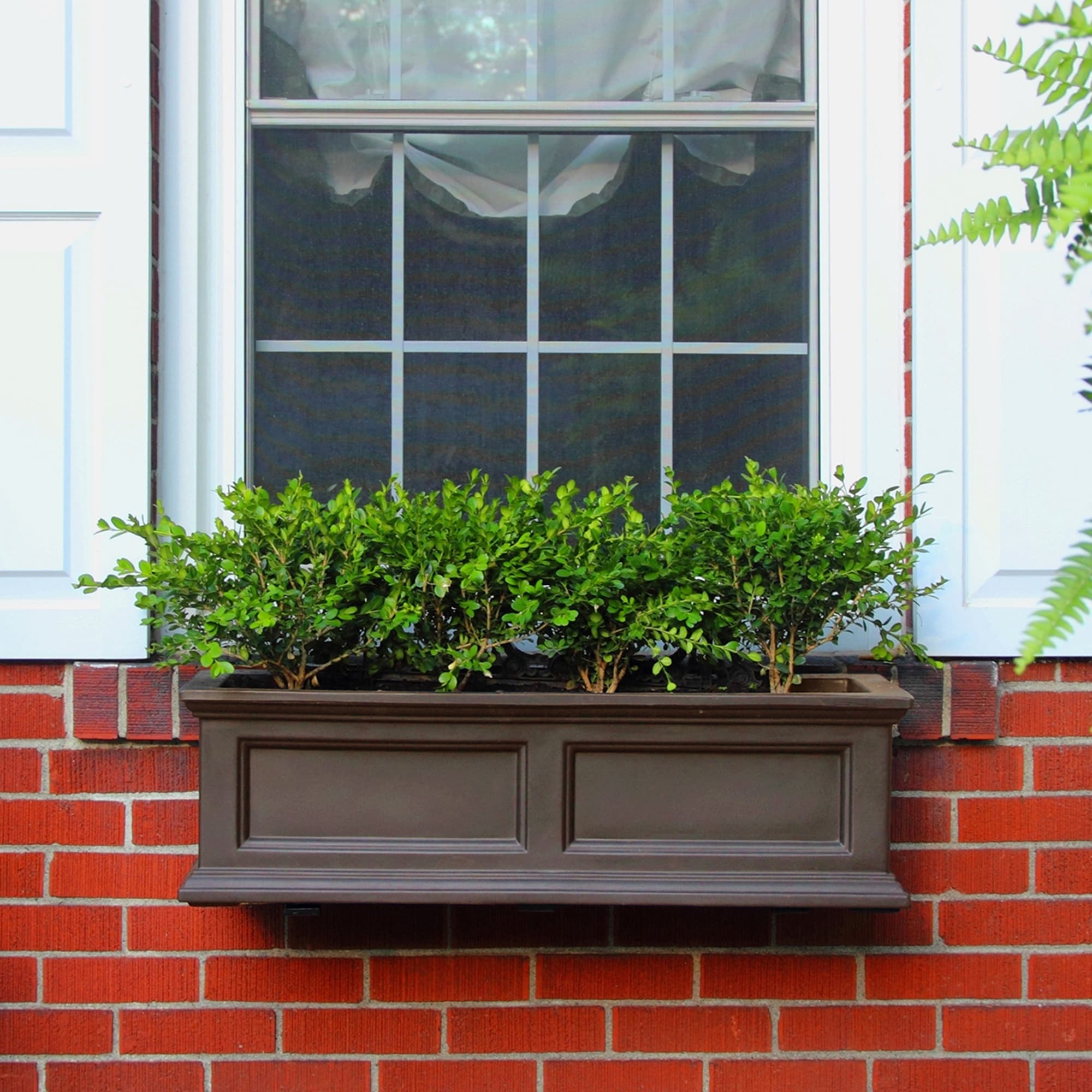 Mayne 5822-ES Planter-Window-Box - View #10