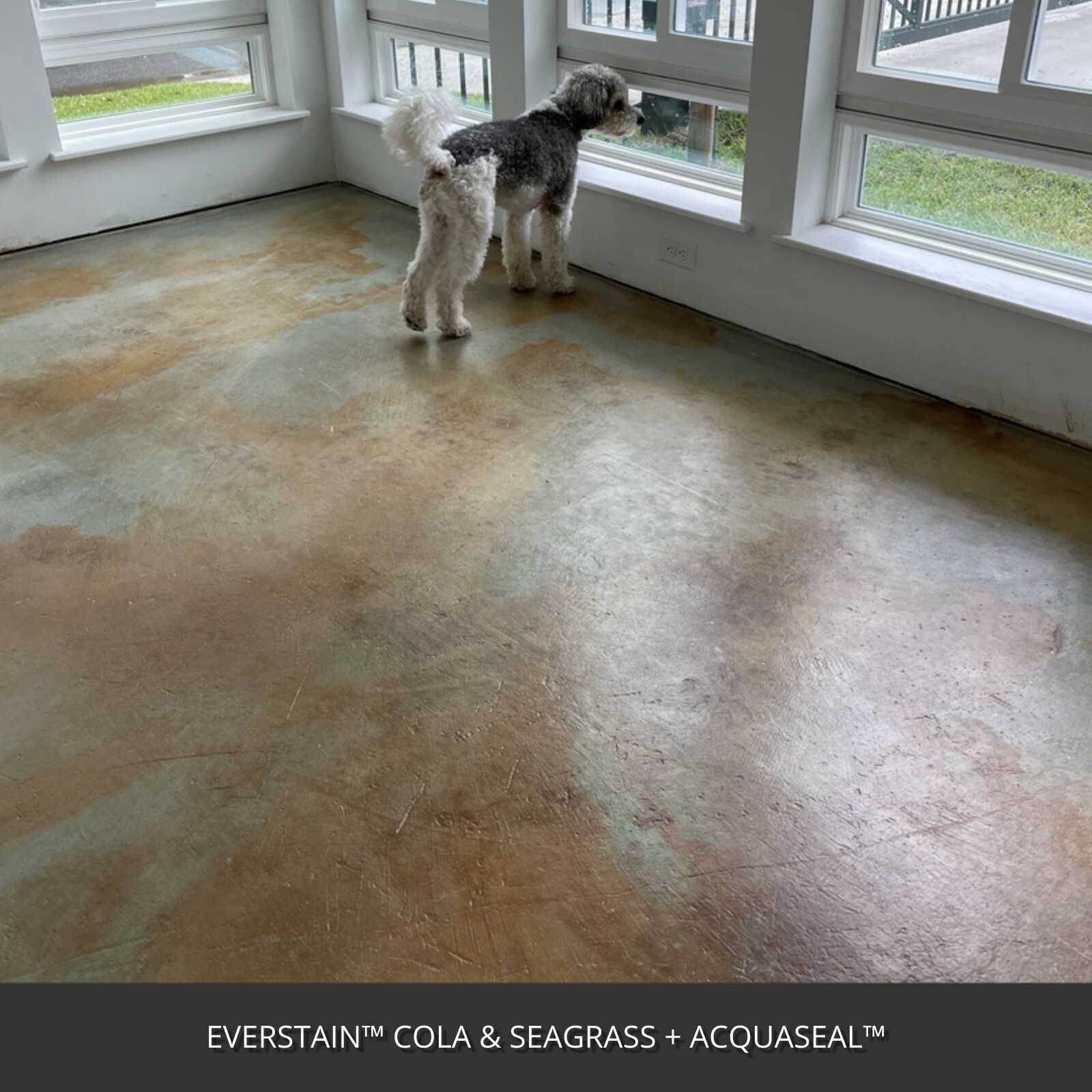 Direct Colors DC-ACS-WAT-SAT-1GAL Concrete-Stains - View #8