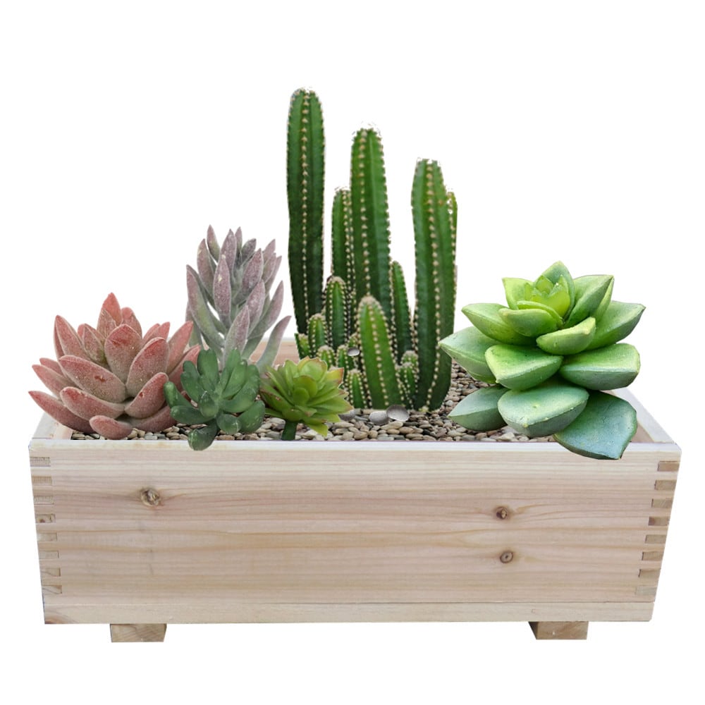 Timber Valley MA510 Planter-Window-Box - View #2