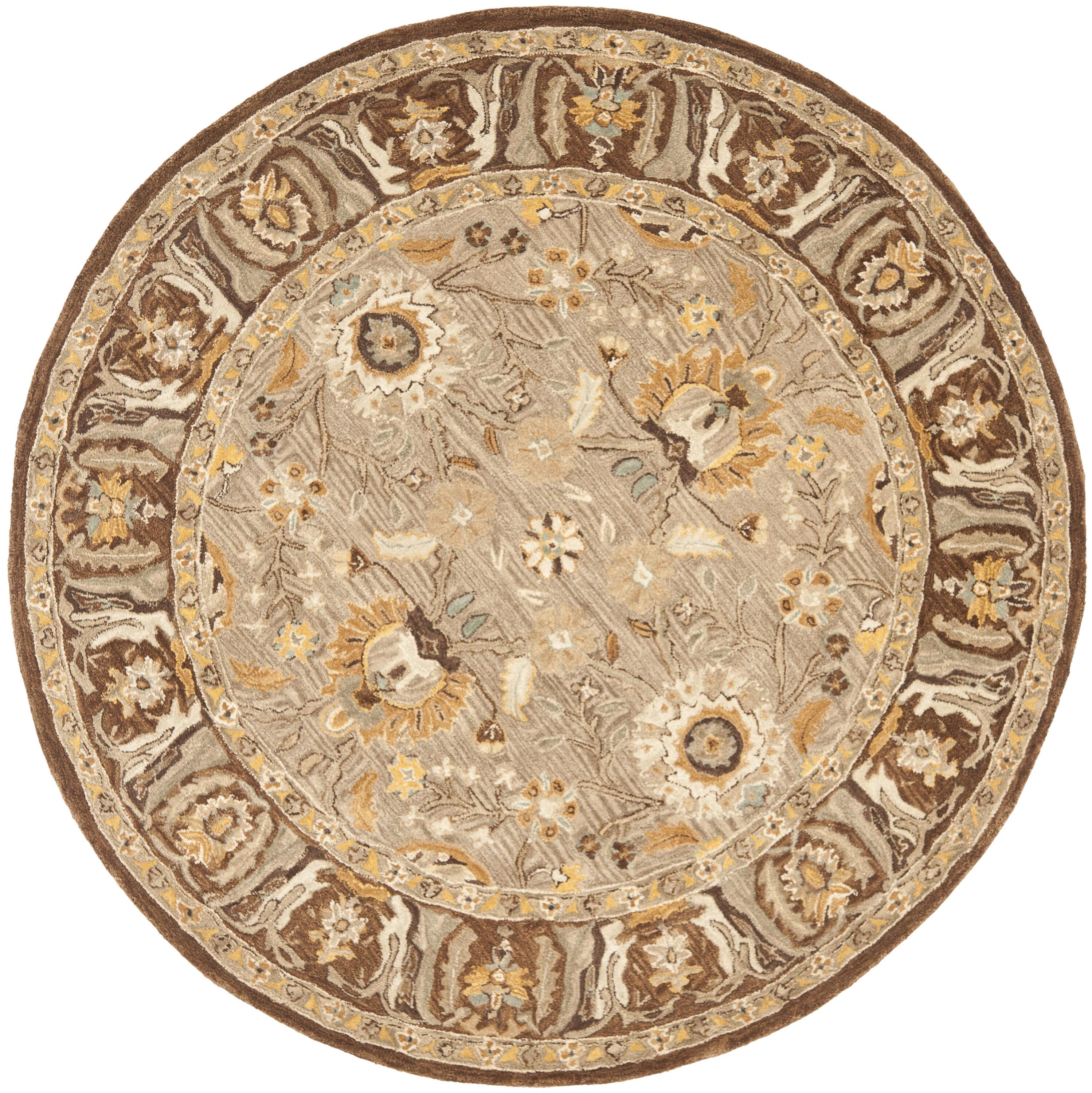 Safavieh AN558A-6R rugs - View #2