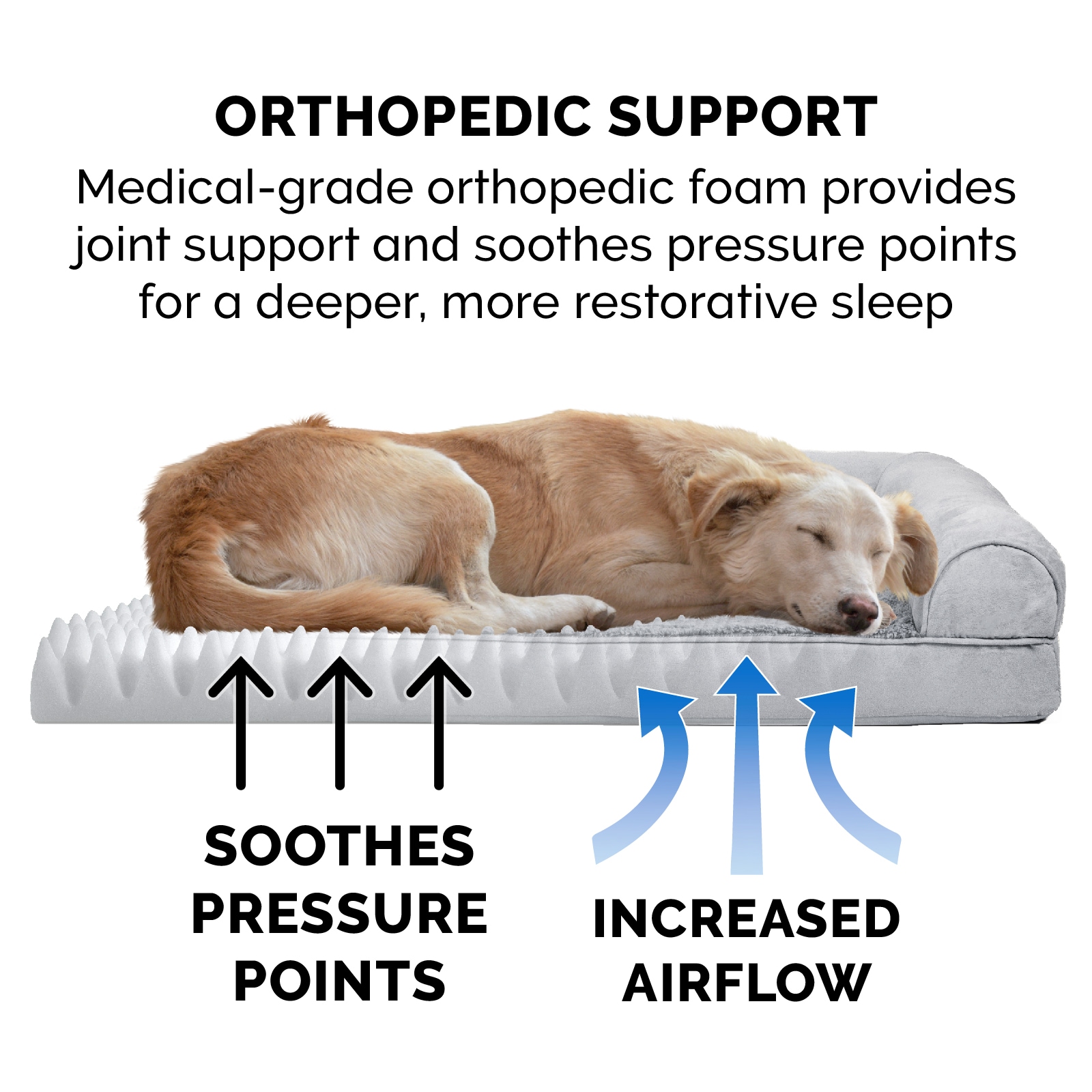 Gray Medium Orthopedic Foam Elevated Pet Sofa Bed
