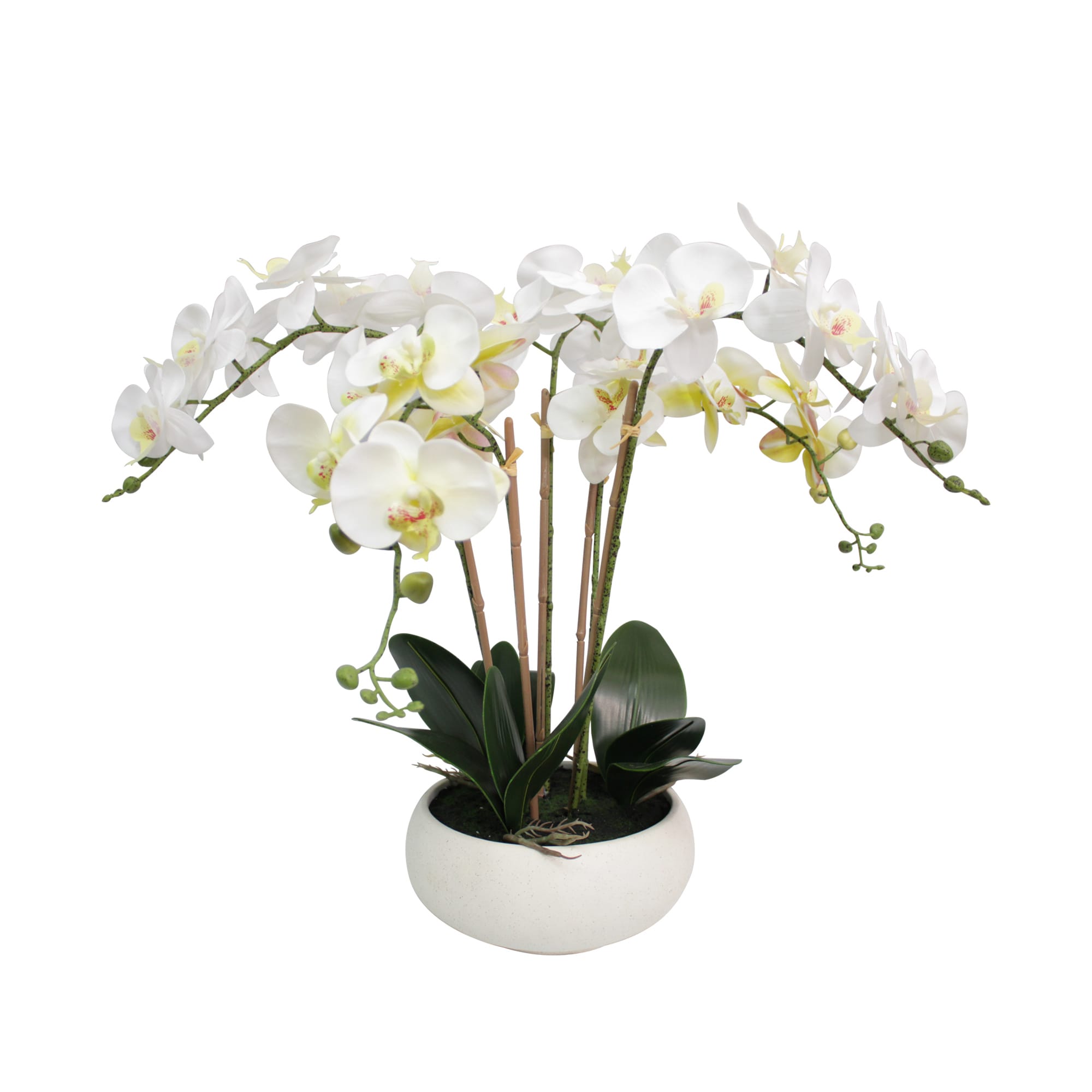allen + roth 23-in Green, White Indoor Orchid Artificial Flower in