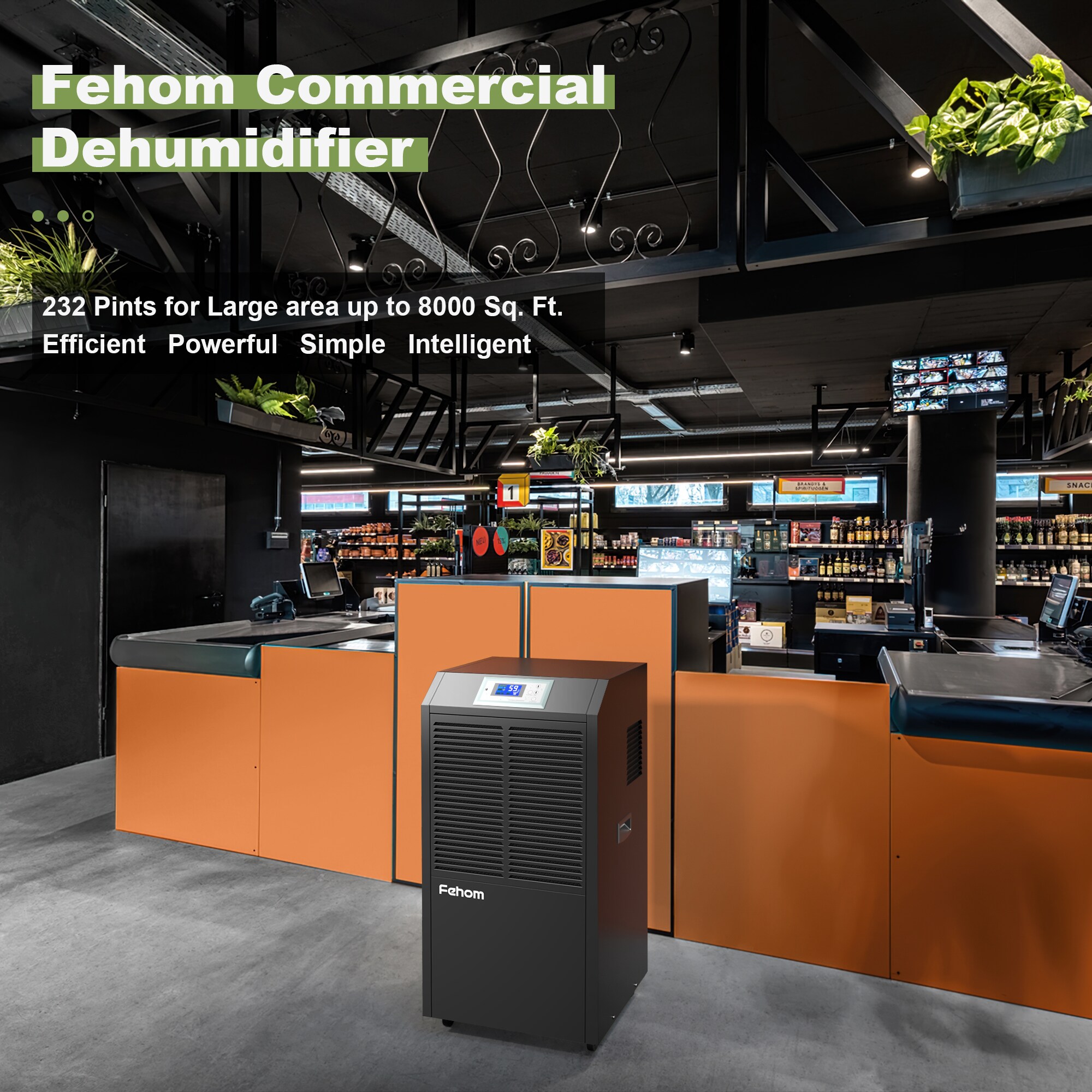 Fehom 890EB-PD t000099 - View #2