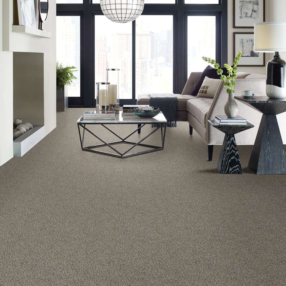 STAINMASTER 7L788-560A-SAMP Carpet-Samples - View #3
