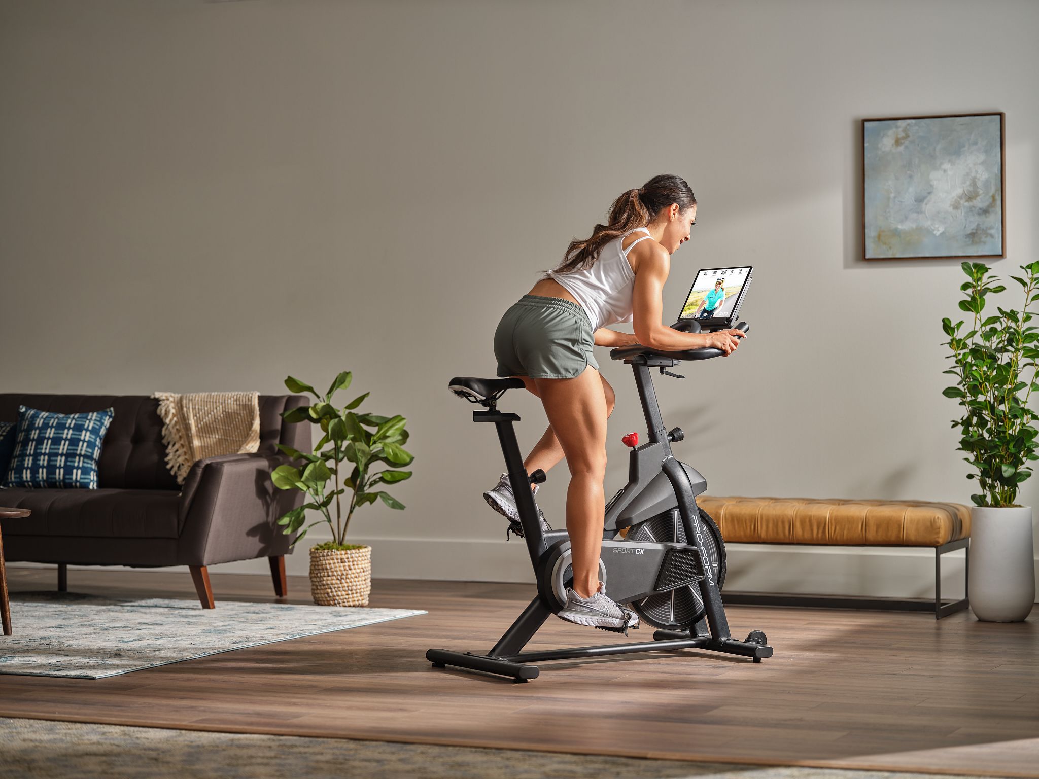 ProForm PFEX40122 Exercise-Bikes - View #11