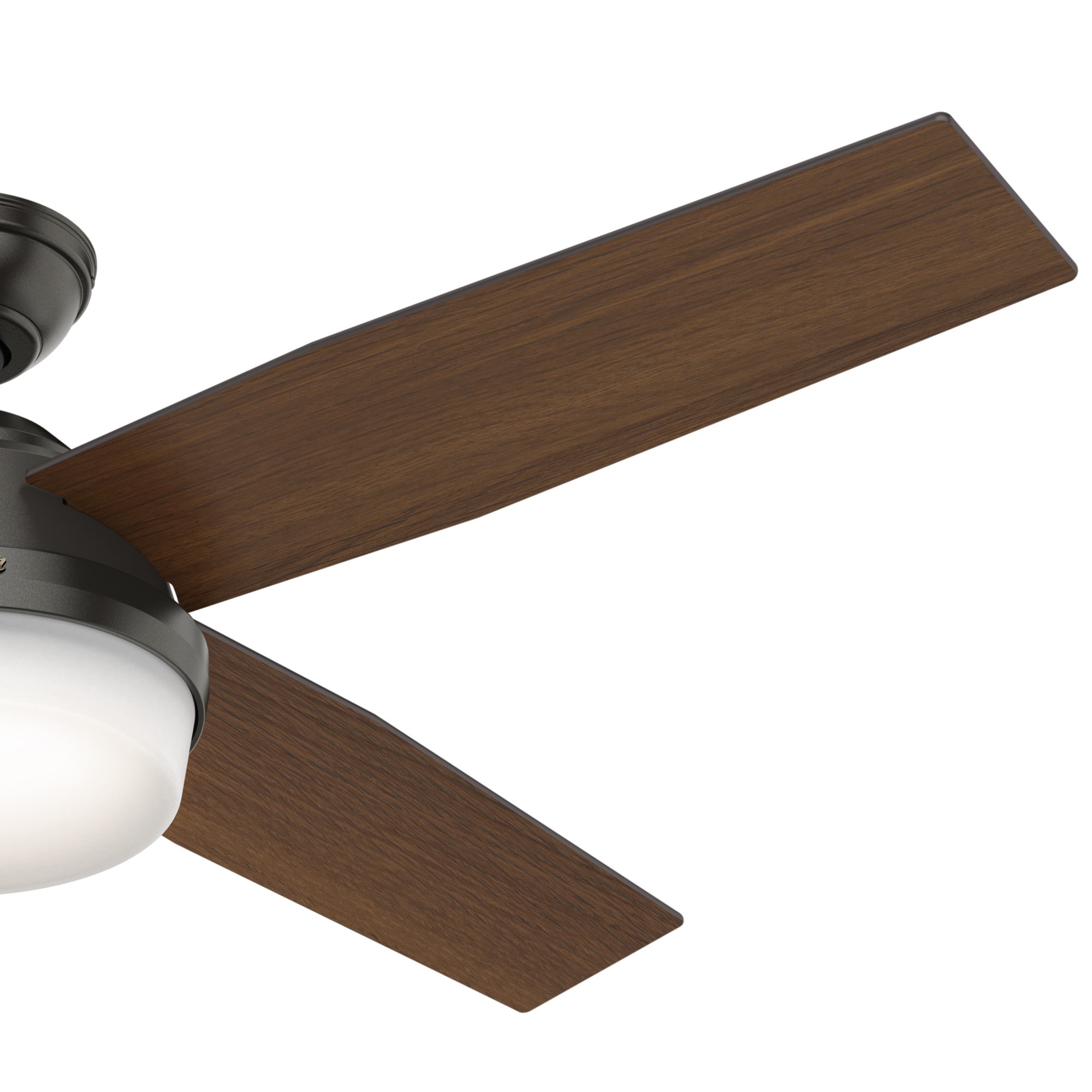 Hunter 59446 Ceiling-Fans - View #5