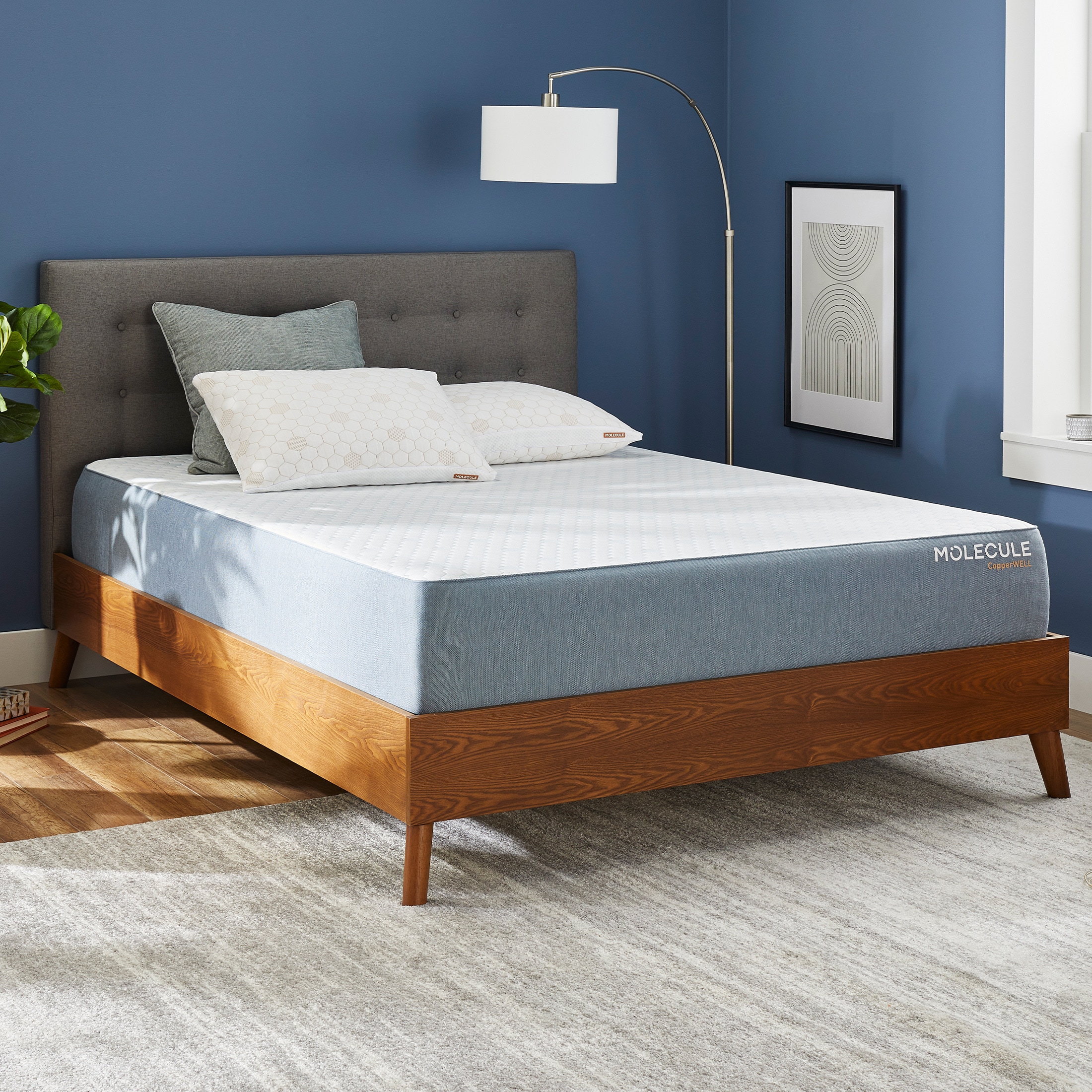 Molecule 3073523 Mattresses-Boxsprings - View #2