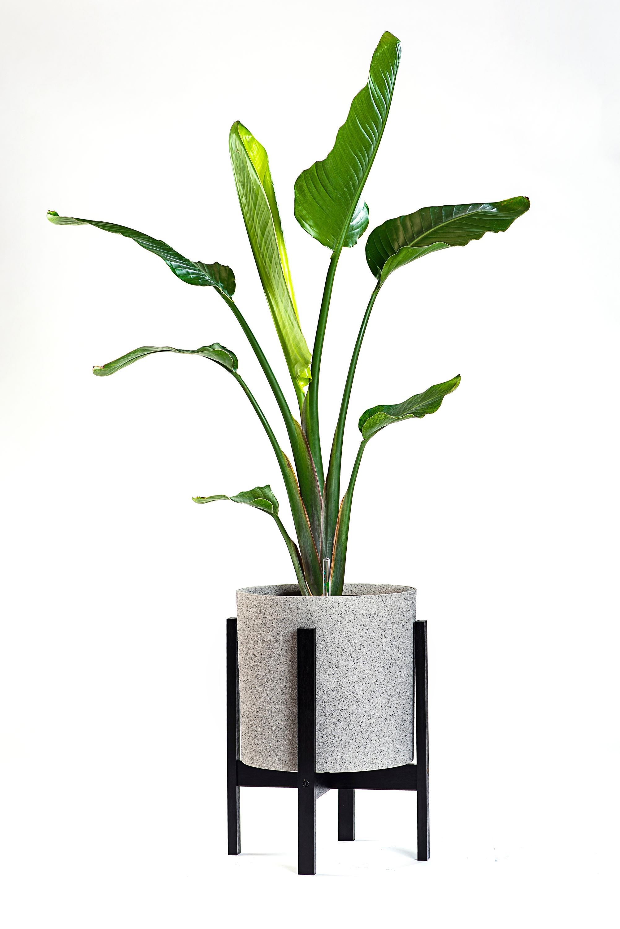 Graphite Self-Watering Planter with Bamboo Stand, 14 Inch