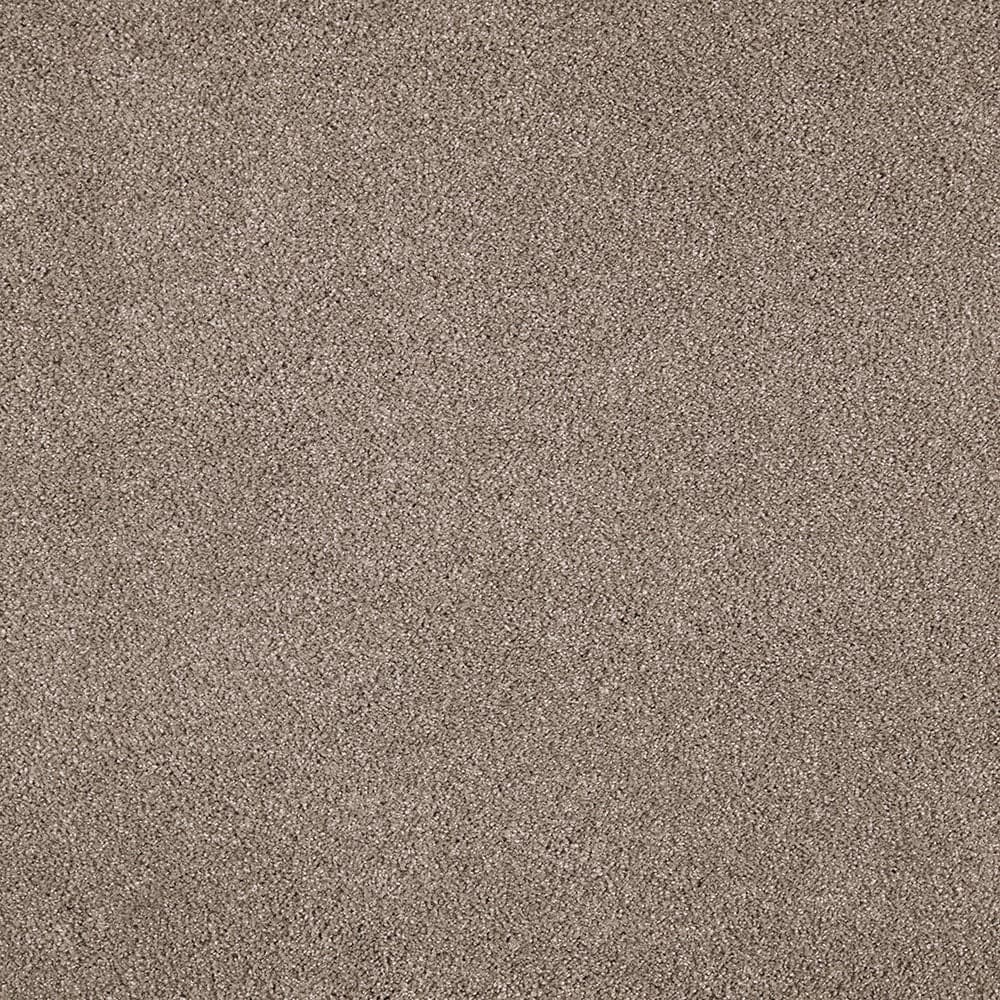 STAINMASTER STP58-L007-0808 (Sample) Soft Selection II Expedition Brown 55-oz sq yard Triexta Textured Indoor Carpet