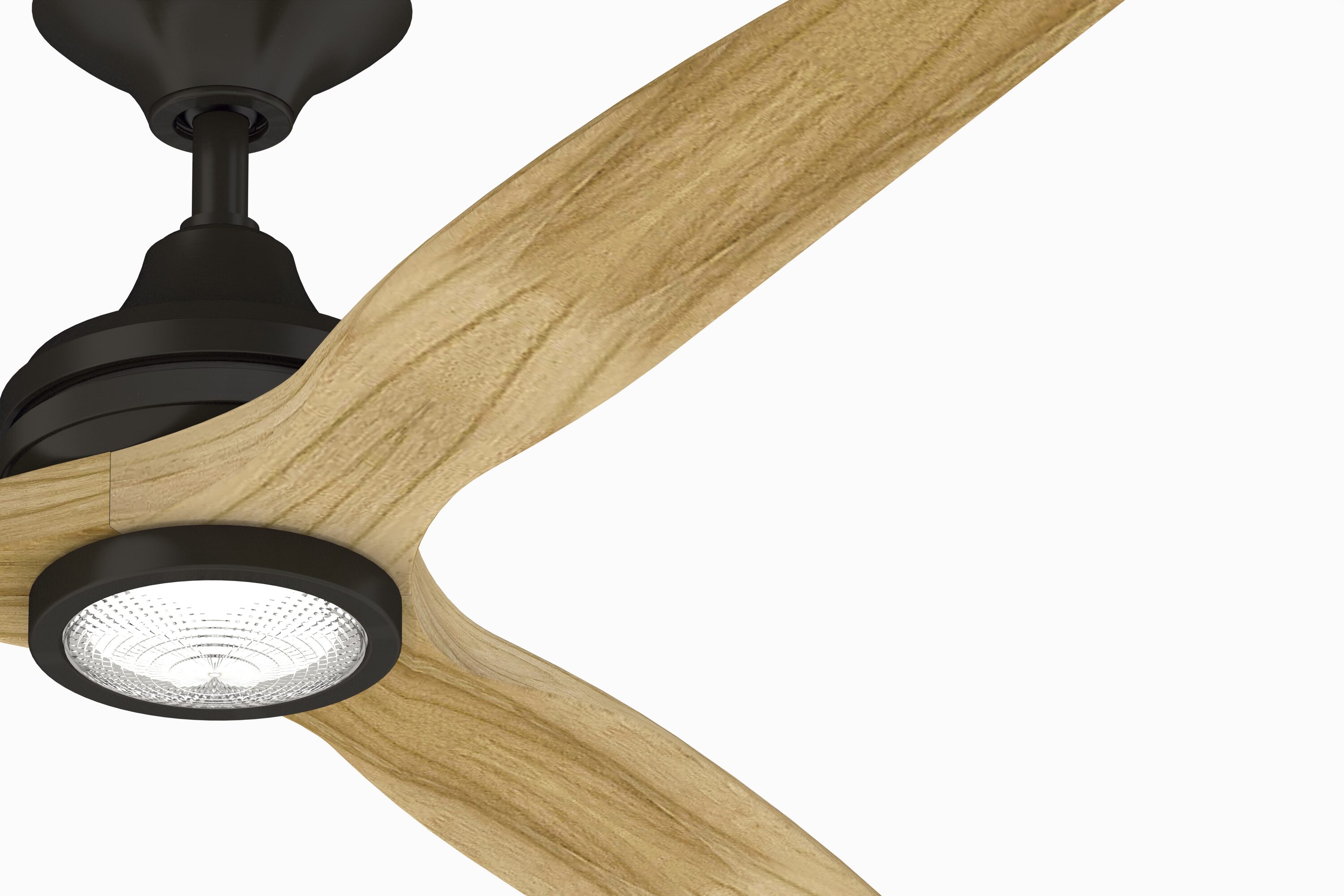 Fanimation FP6721BDZ-60N-LK Ceiling-Fans - View #4