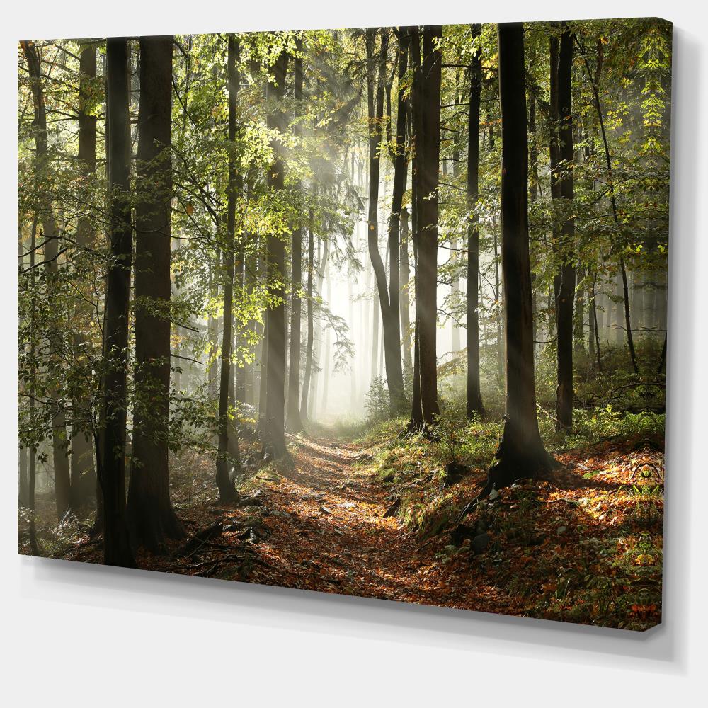 Designart PT9742-40-30 Wall-Art - View #2