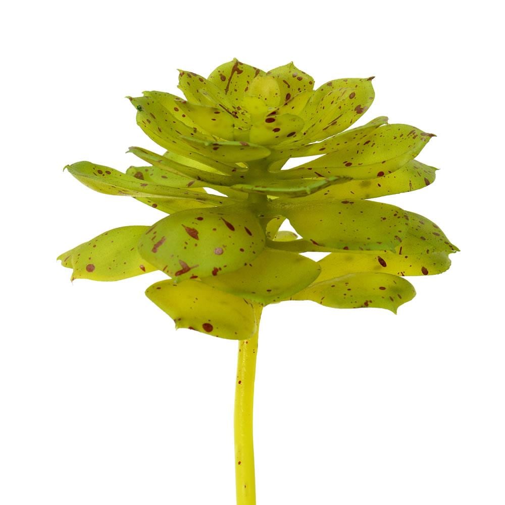 Vickerman FO180901 6-in Green, Brown Indoor Succulent Artificial Plant