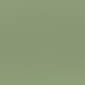 Narrow Stripes Green