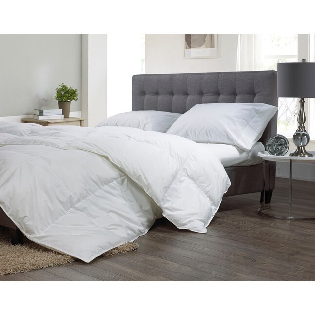 Sleep Solutions By Westex White Solid, Do Bed Bugs Live In Feather Duvets