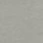 Harbor Gray