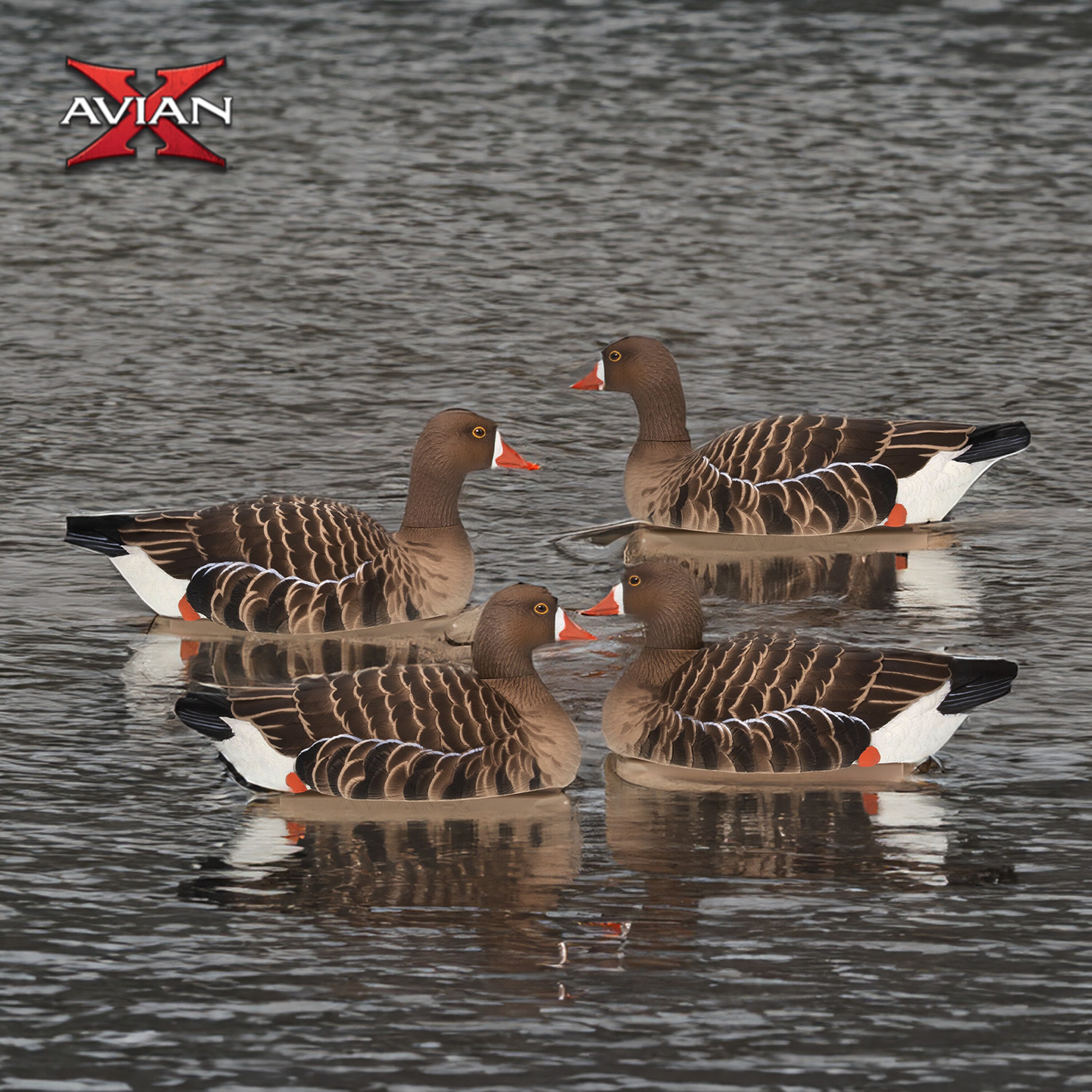  Avian X 399286 Hunting-Equipment - View #7