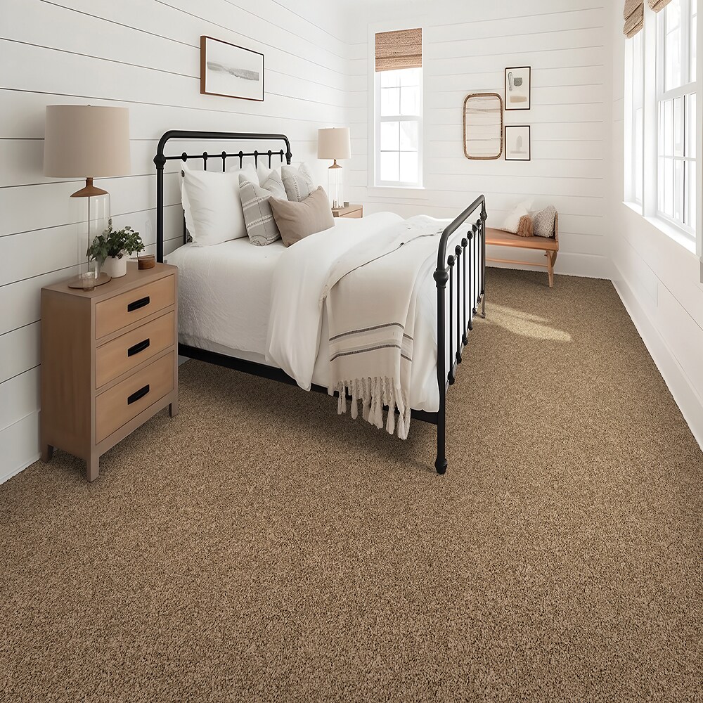 STAINMASTER SS011-L003-0808 Carpet-Samples - View #2