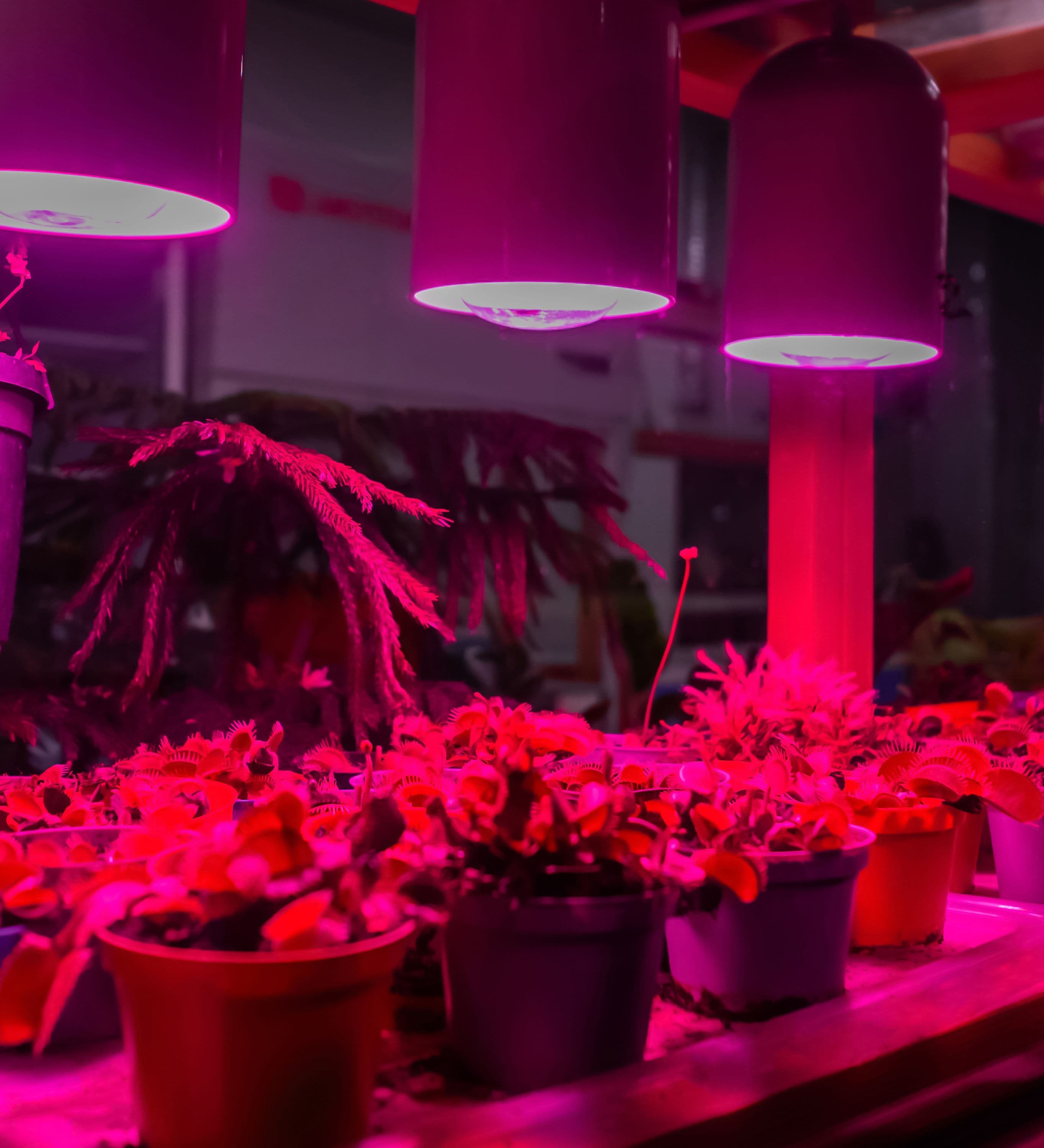 Viribright Lighting 290107 Grow-Lights - View #6