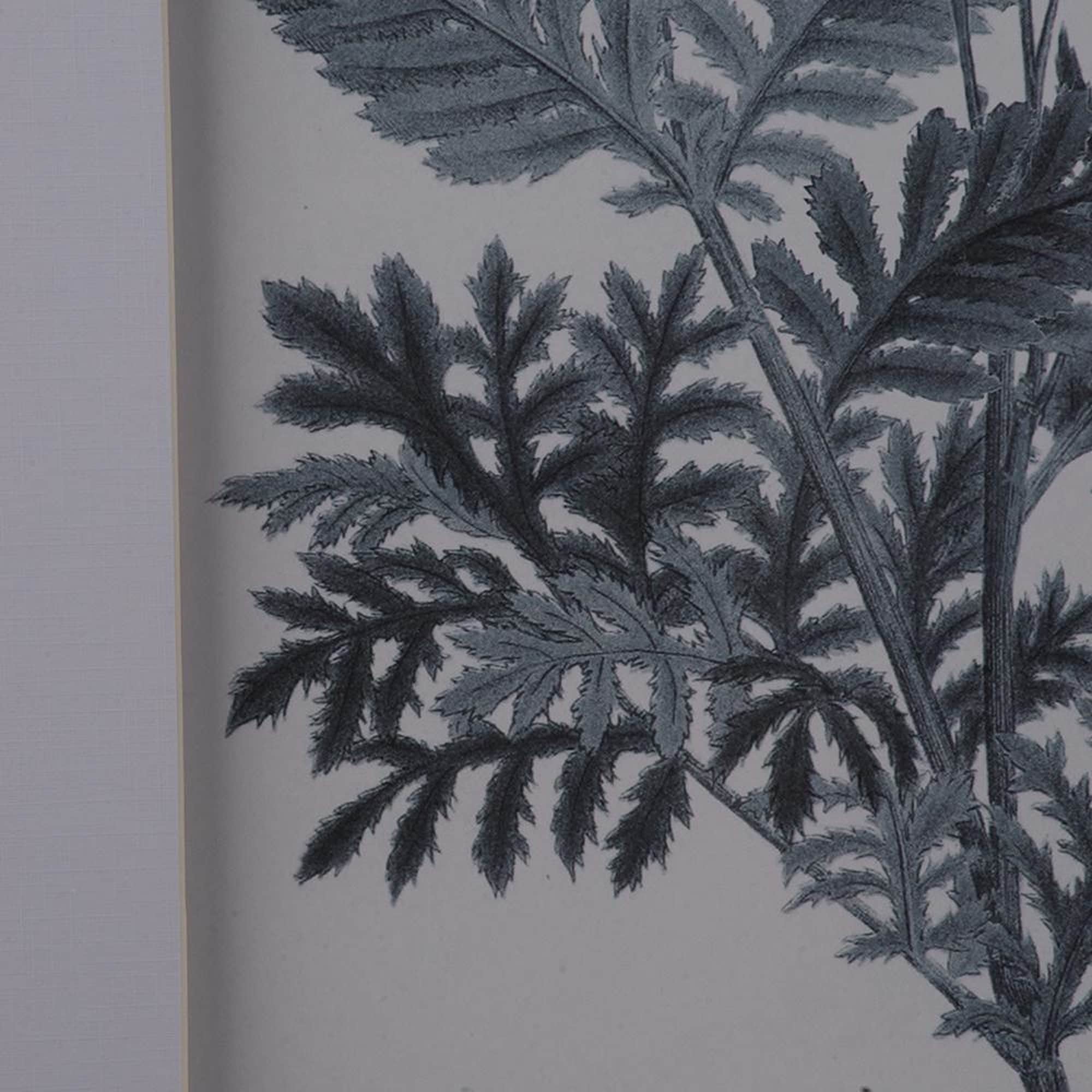 A&B Home AV43782-DS Wall-Art - View #3