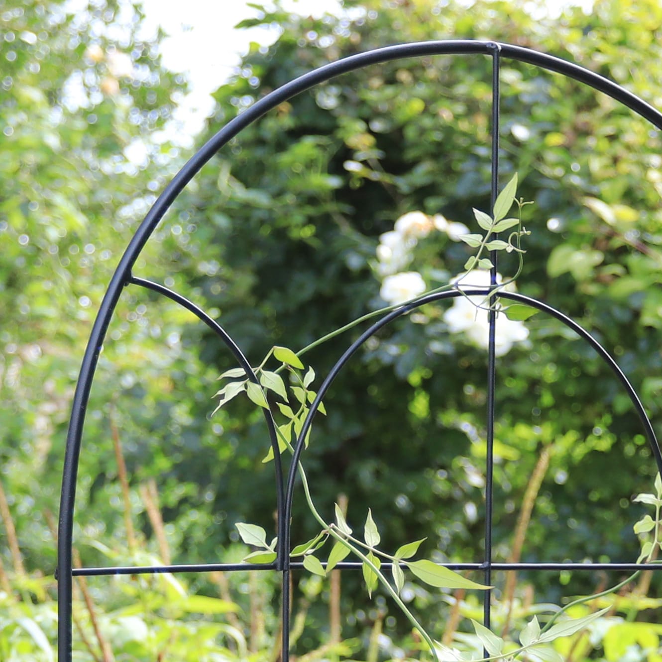 Garden Trellises 24-in W x 71-in H Matte Black Powder Coat Steel ...