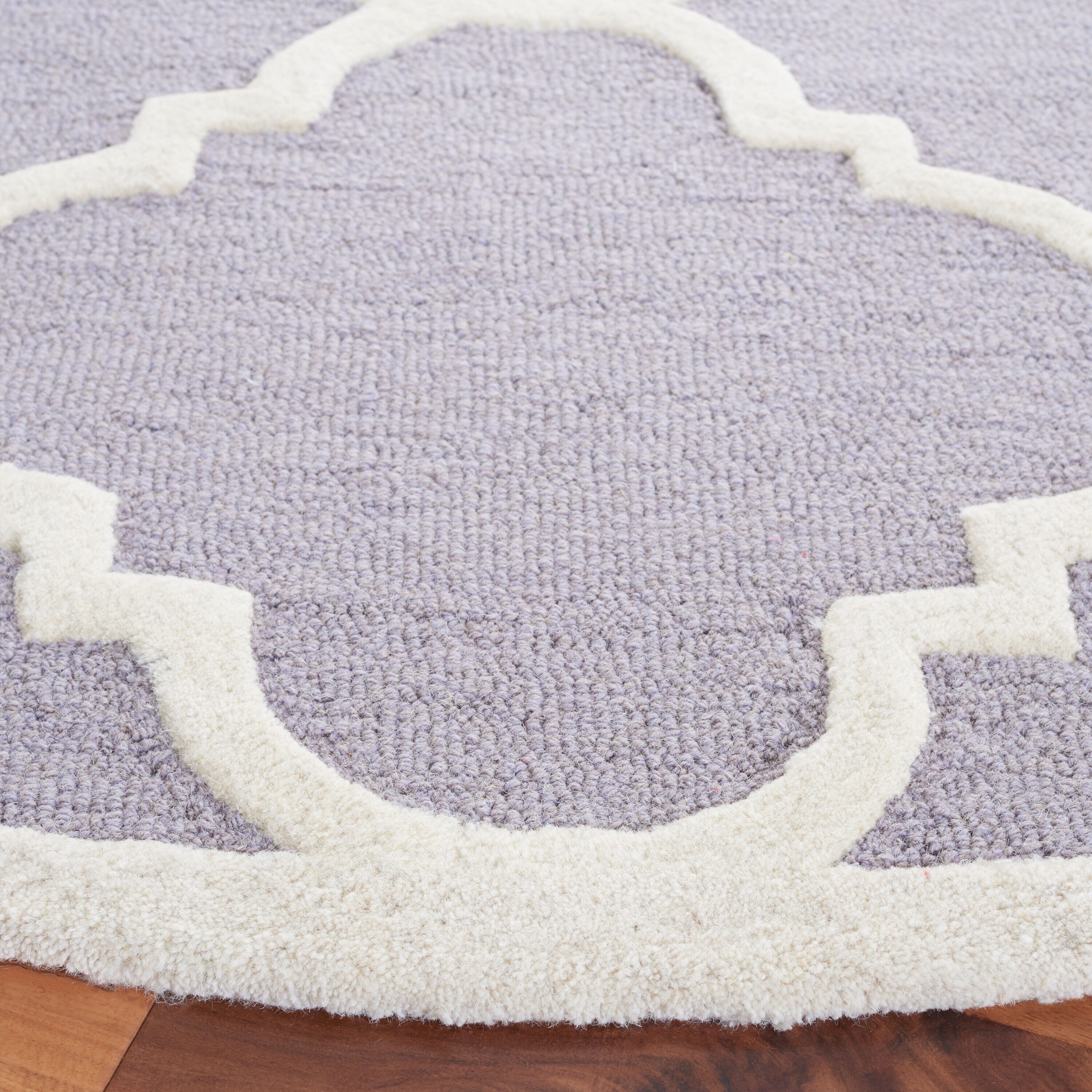 Safavieh CAM140D-6R rugs - View #3